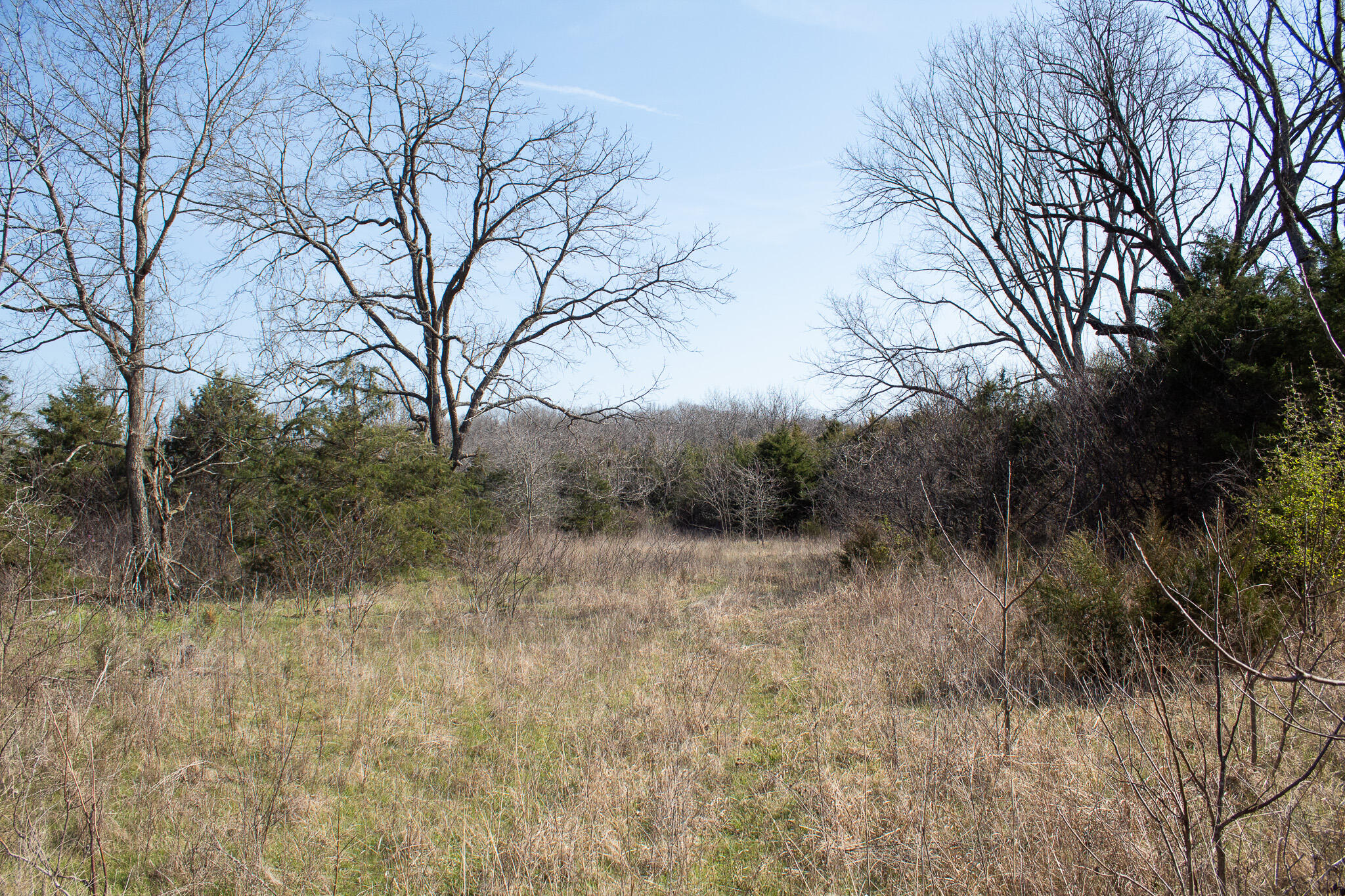 Photo 39 - Land for sale – 000  Sapphire Drive  Richland, MO