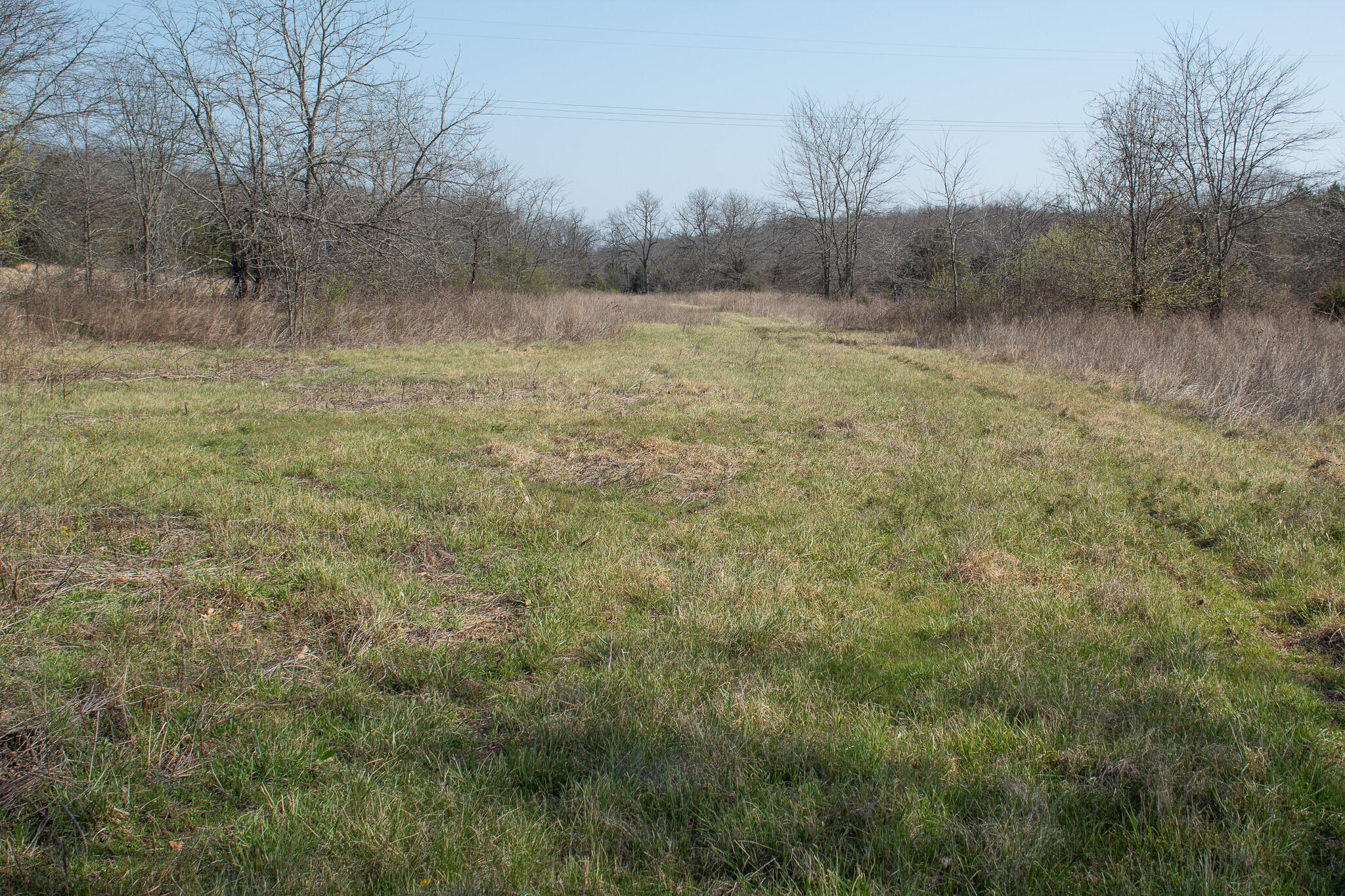 Photo 3 - Land for sale – 000  Sapphire Drive  Richland, MO