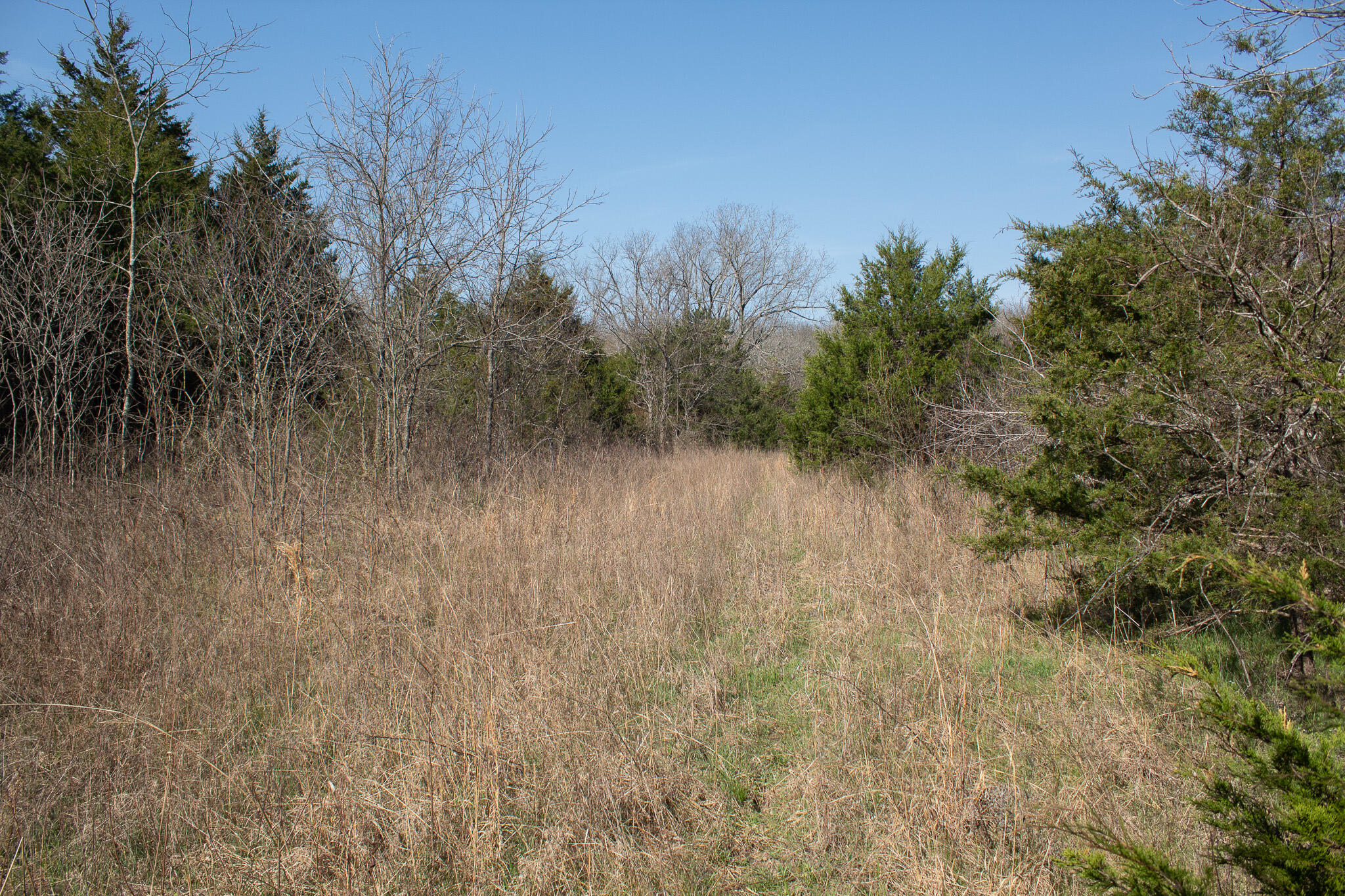 Photo 21 - Land for sale – 000  Sapphire Drive  Richland, MO