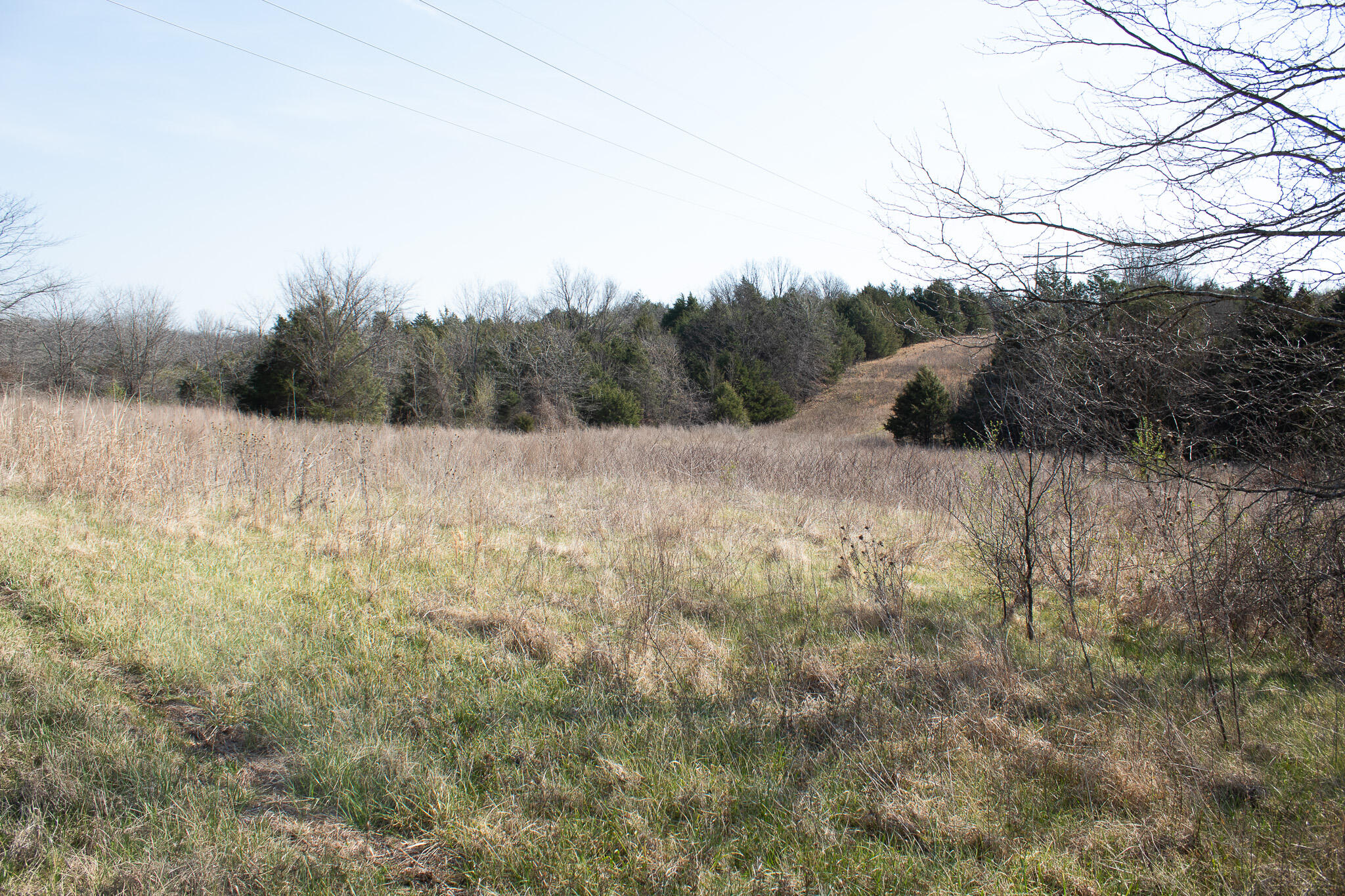 Photo 51 - Land for sale – 000  Sapphire Drive  Richland, MO