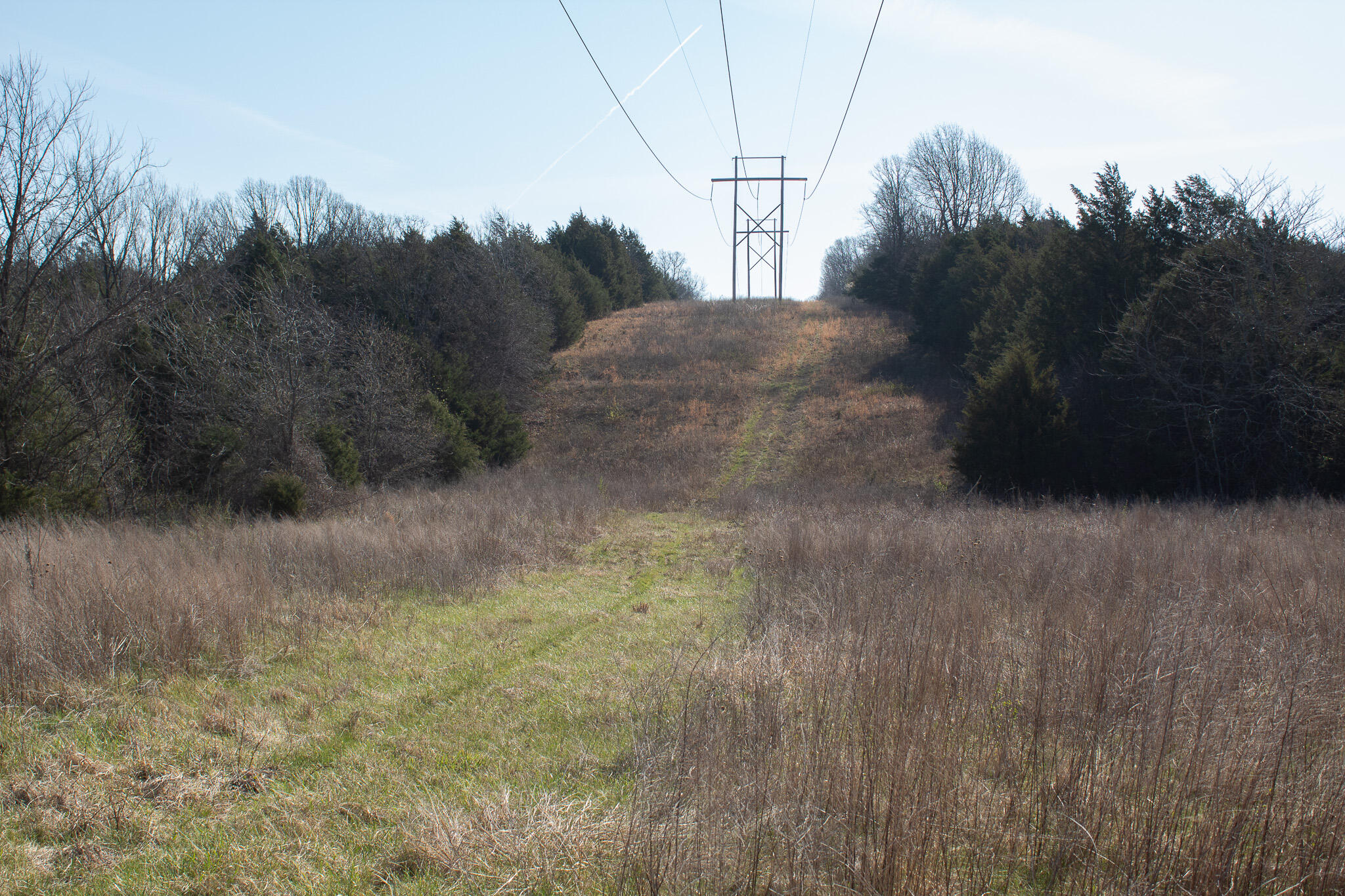 Photo 4 - Land for sale – 000  Sapphire Drive  Richland, MO