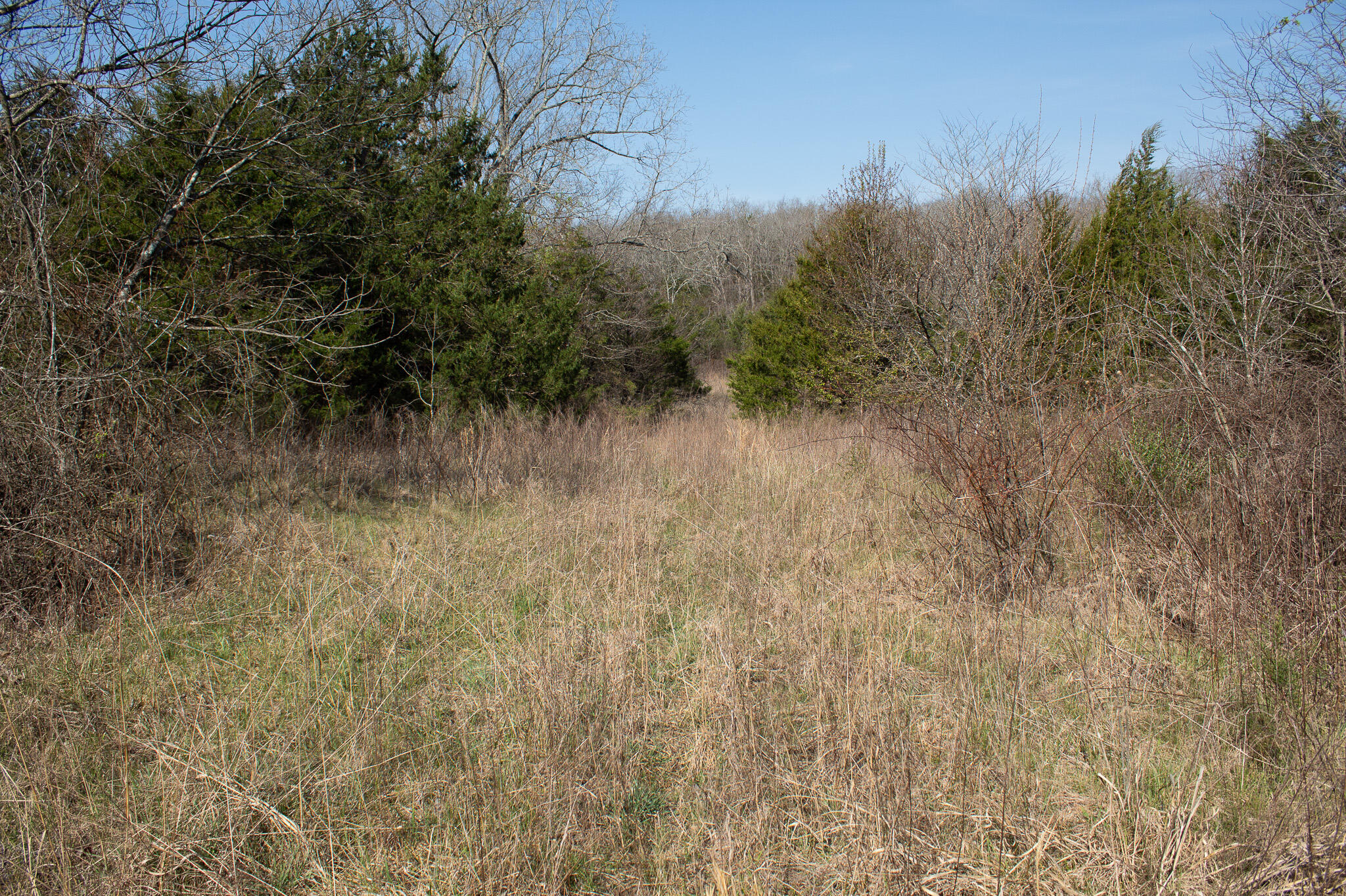 Photo 22 - Land for sale – 000  Sapphire Drive  Richland, MO