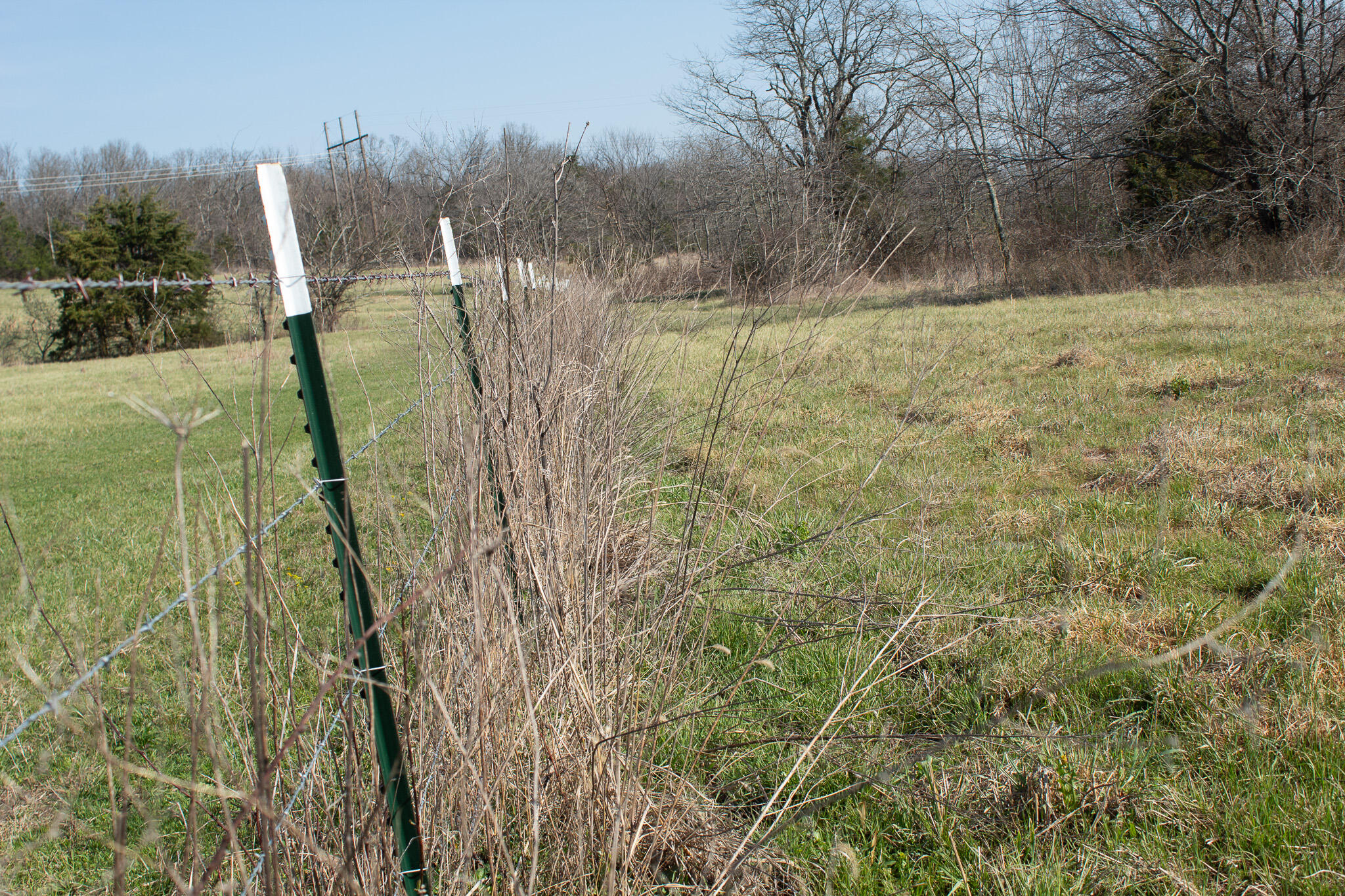 Photo 2 - Land for sale – 000  Sapphire Drive  Richland, MO
