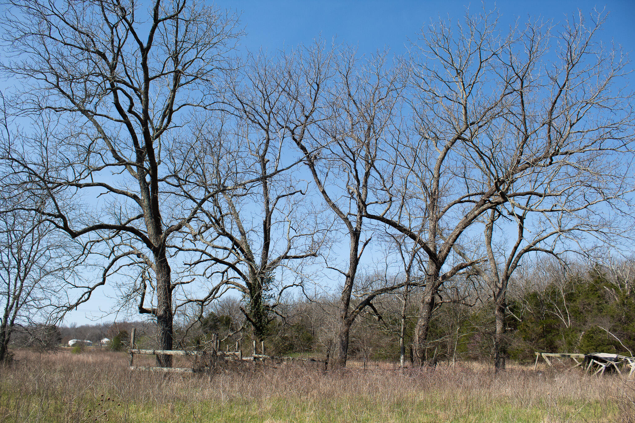 Photo 41 - Land for sale – 000  Sapphire Drive  Richland, MO