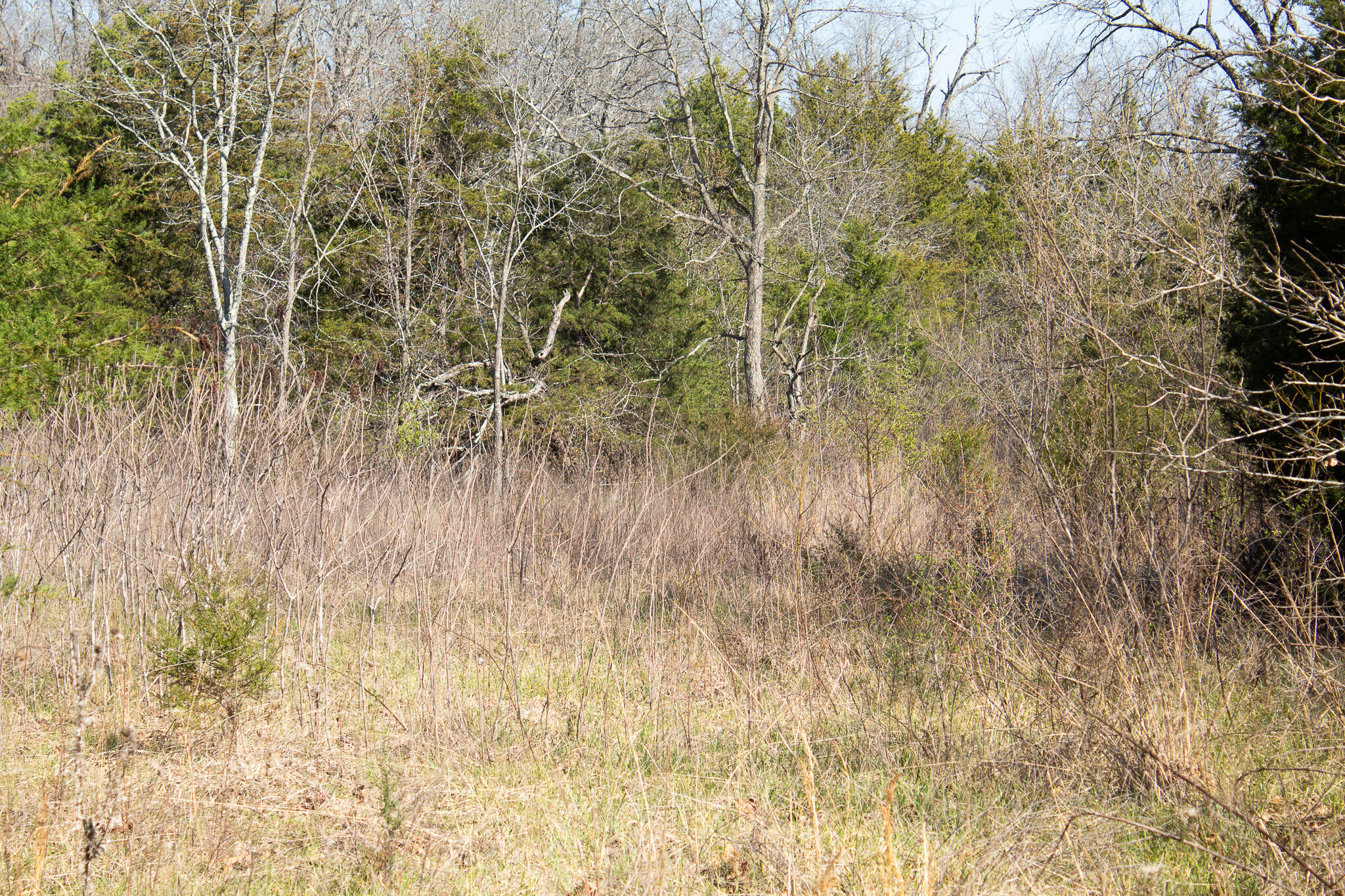 Photo 35 - Land for sale – 000  Sapphire Drive  Richland, MO
