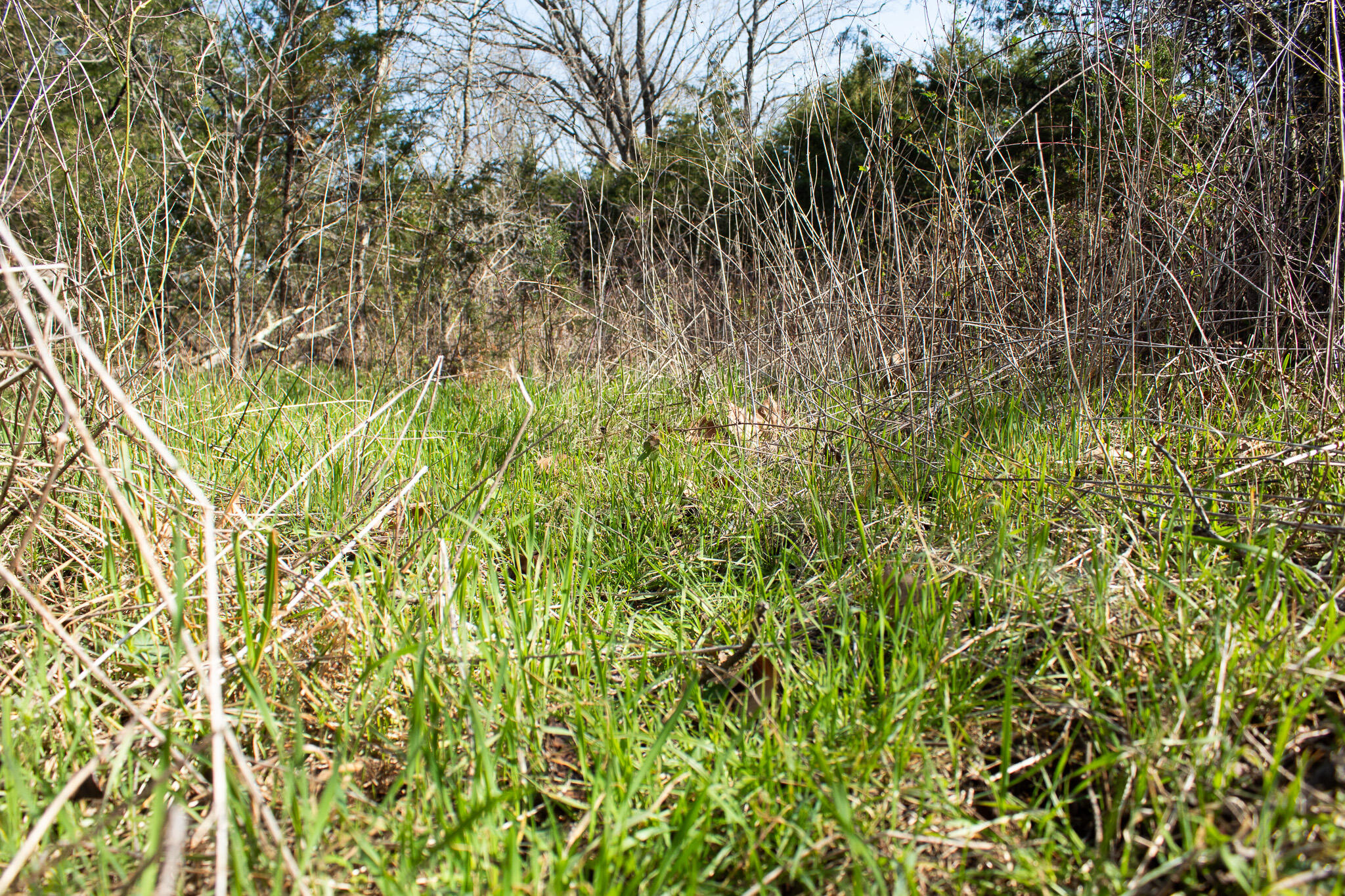 Photo 38 - Land for sale – 000  Sapphire Drive  Richland, MO