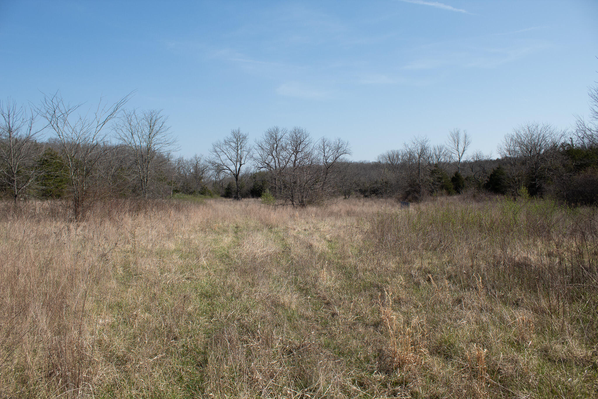 Photo 49 - Land for sale – 000  Sapphire Drive  Richland, MO