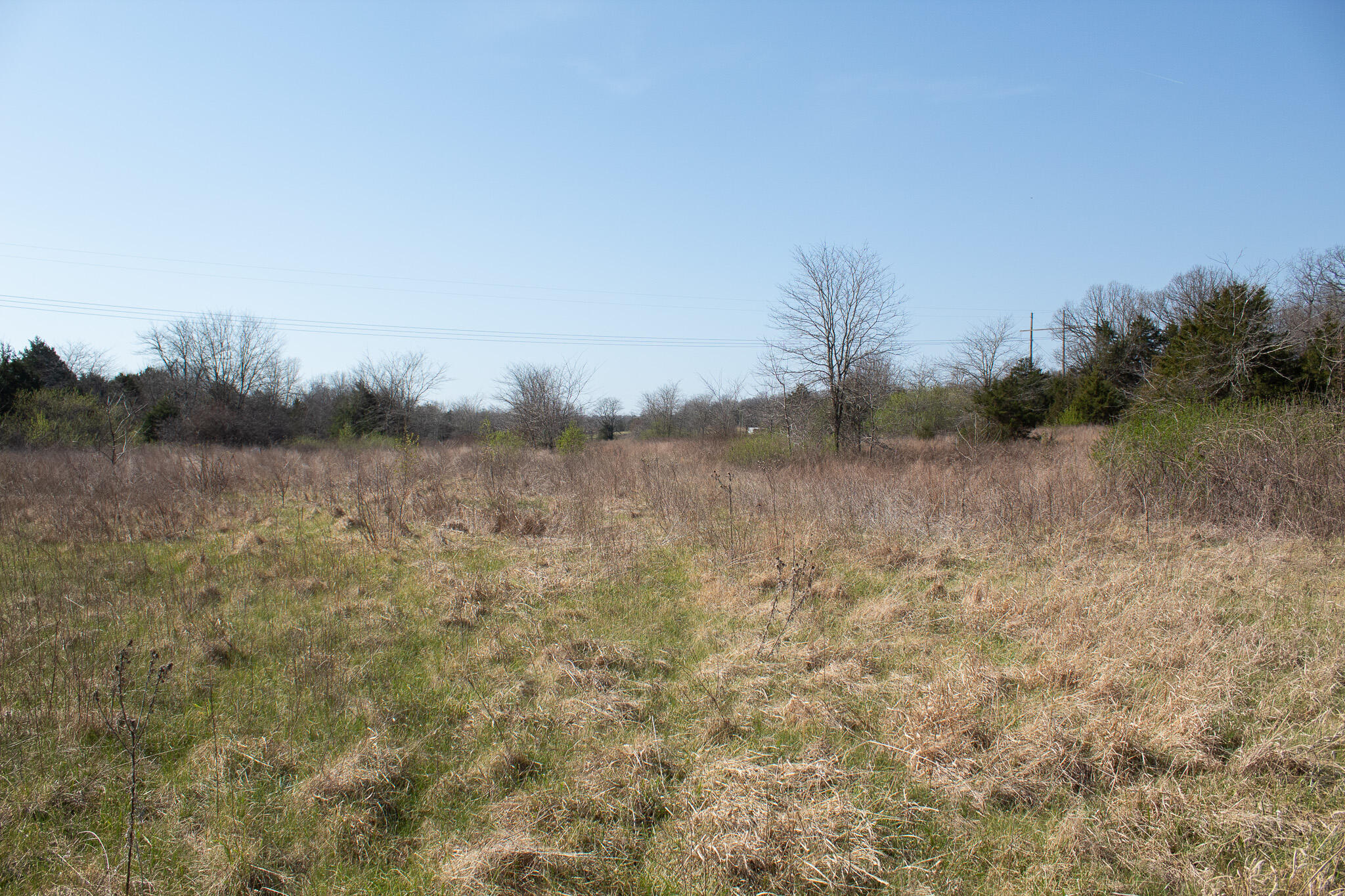 Photo 47 - Land for sale – 000  Sapphire Drive  Richland, MO