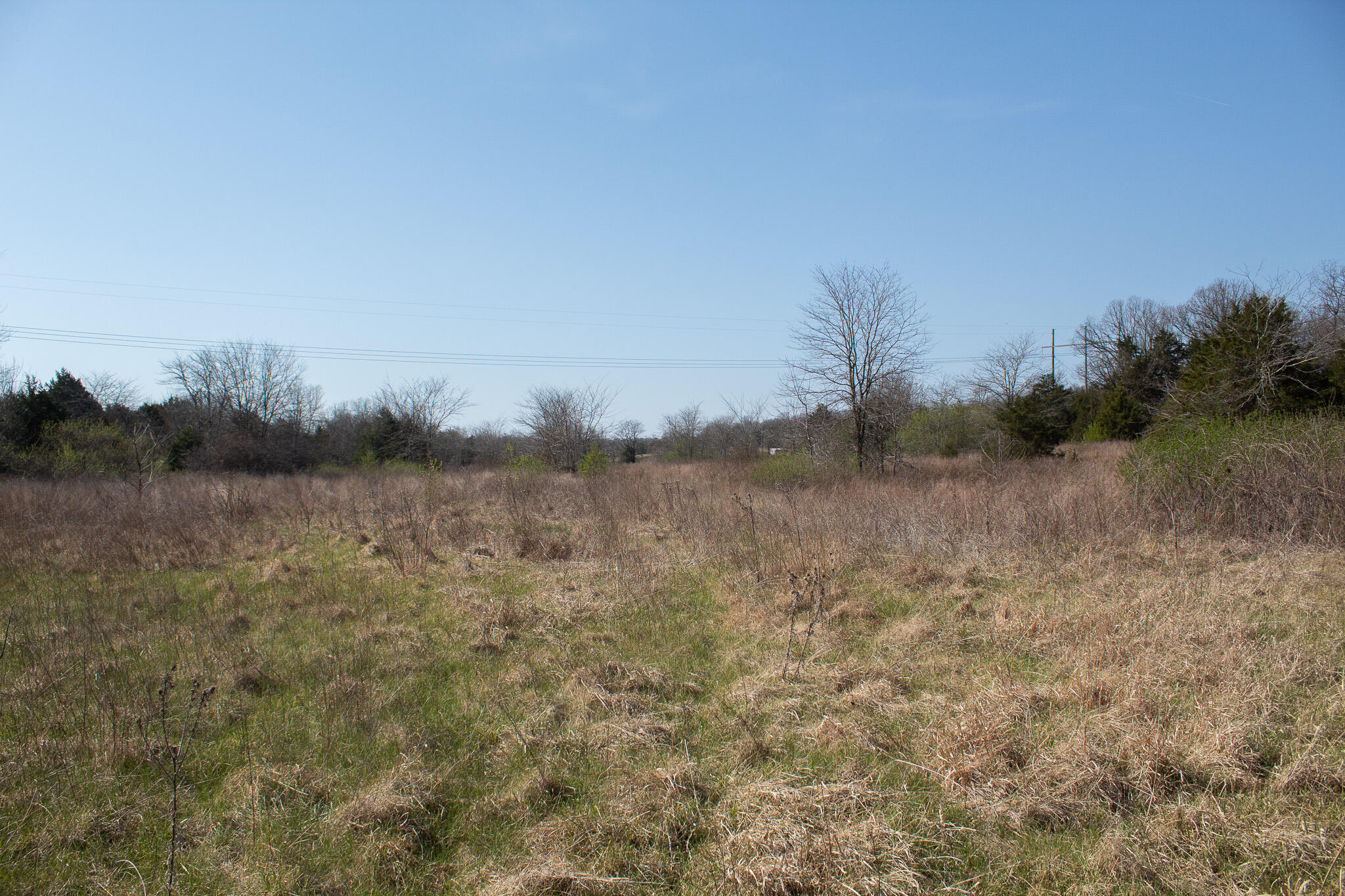 Photo 48 - Land for sale – 000  Sapphire Drive  Richland, MO