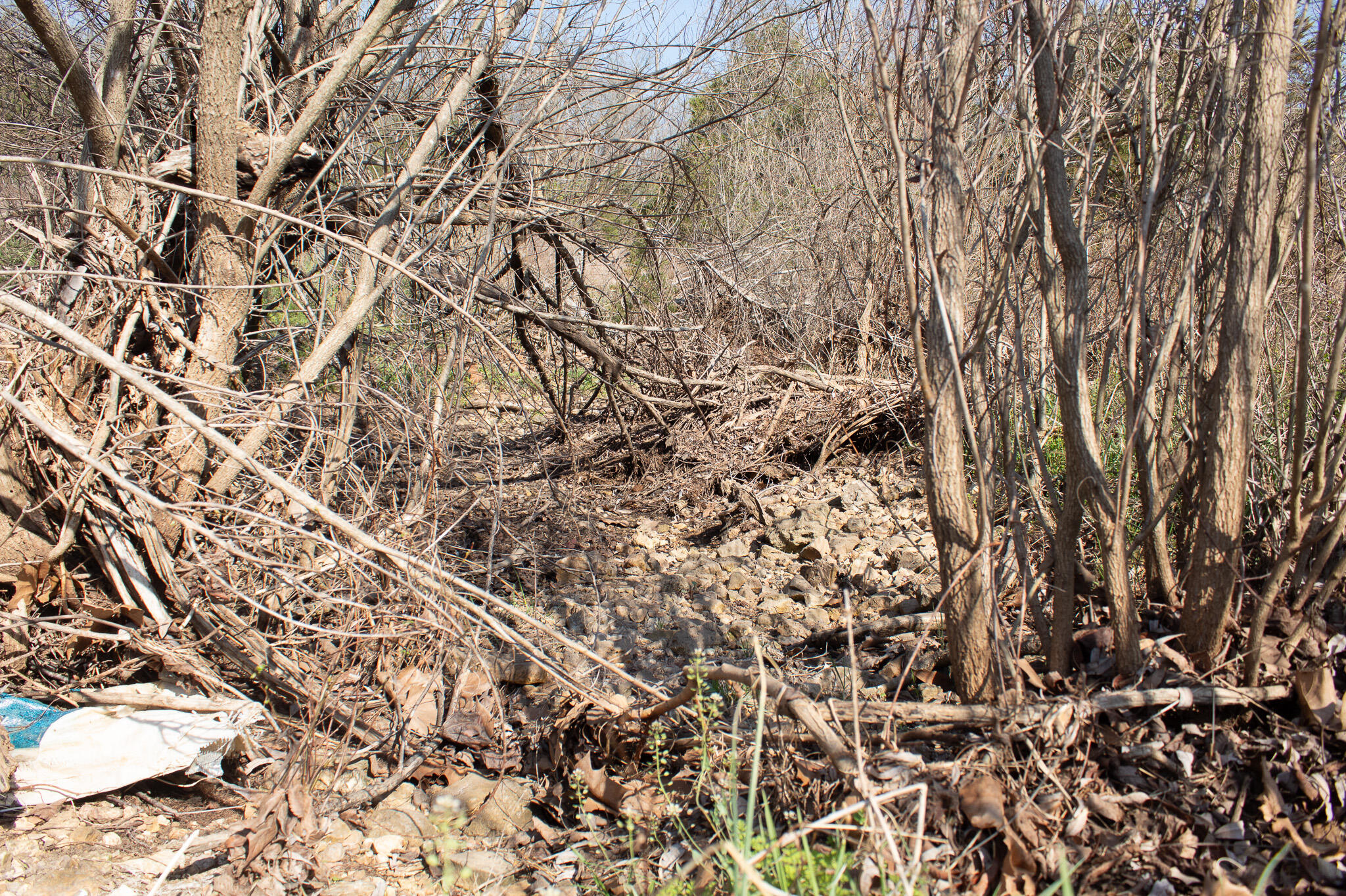Photo 40 - Land for sale – 000  Sapphire Drive  Richland, MO