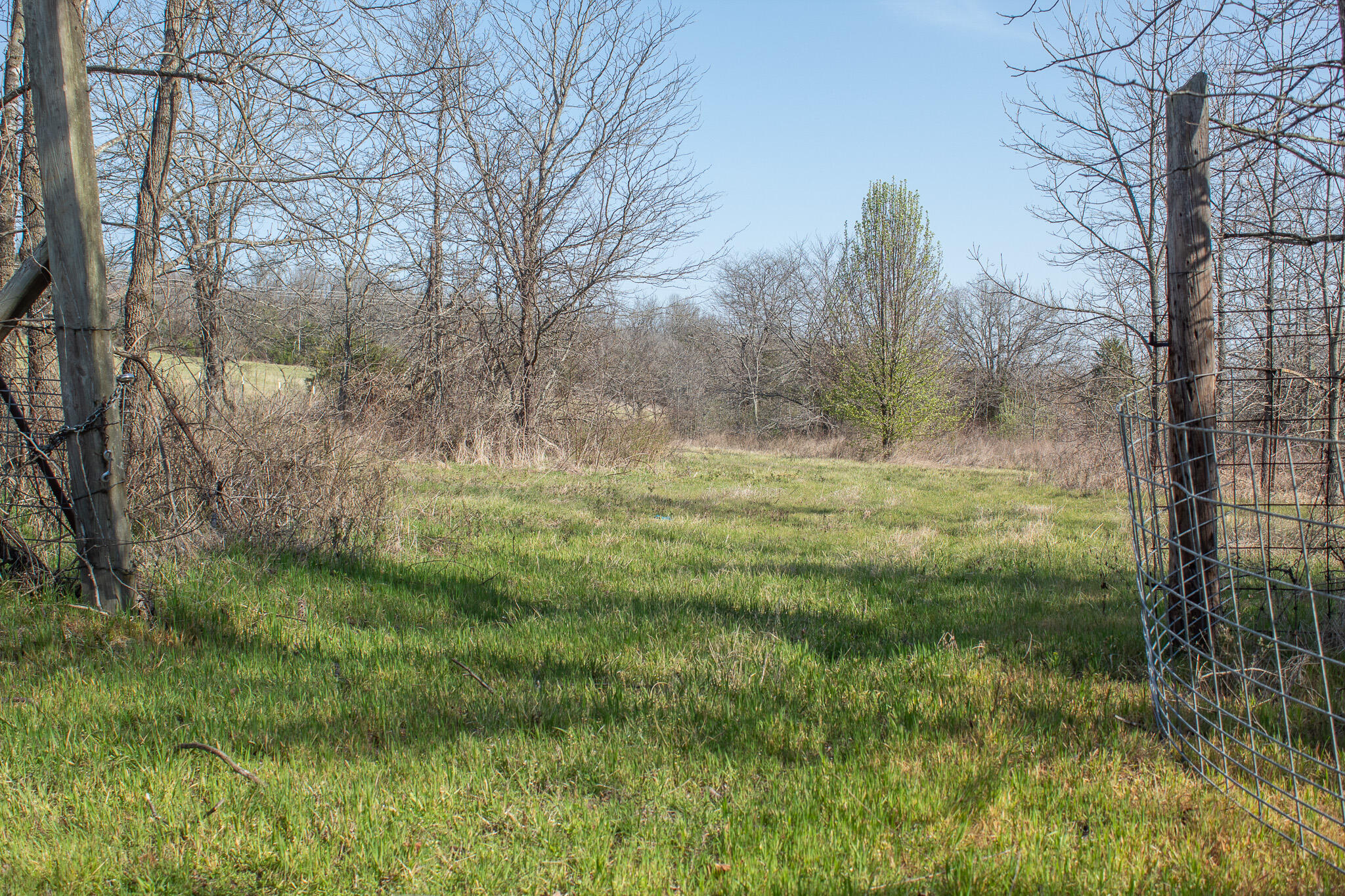 Land for sale – 000  Sapphire Drive  Richland, MO
