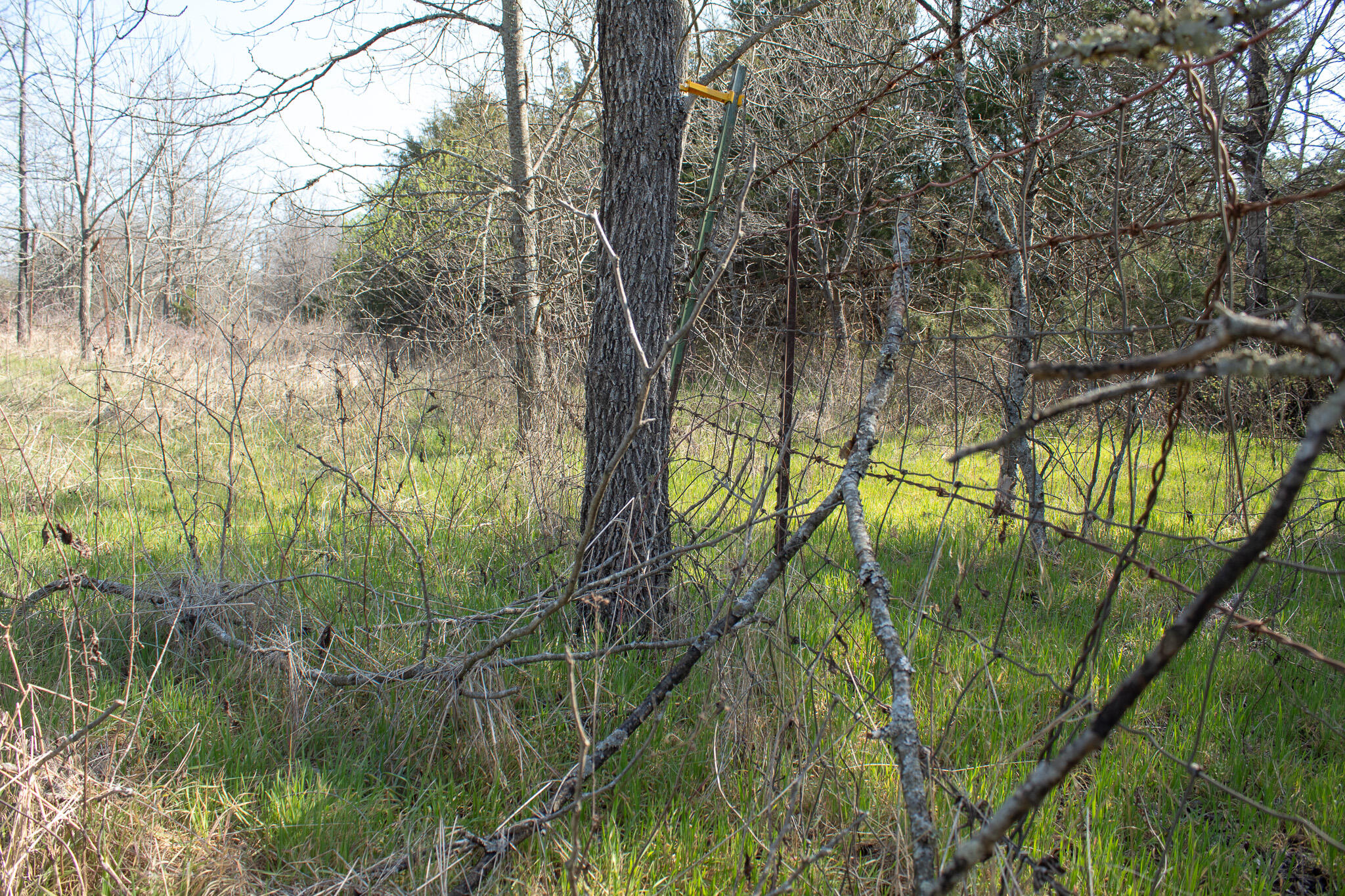 Photo 55 - Land for sale – 000  Sapphire Drive  Richland, MO