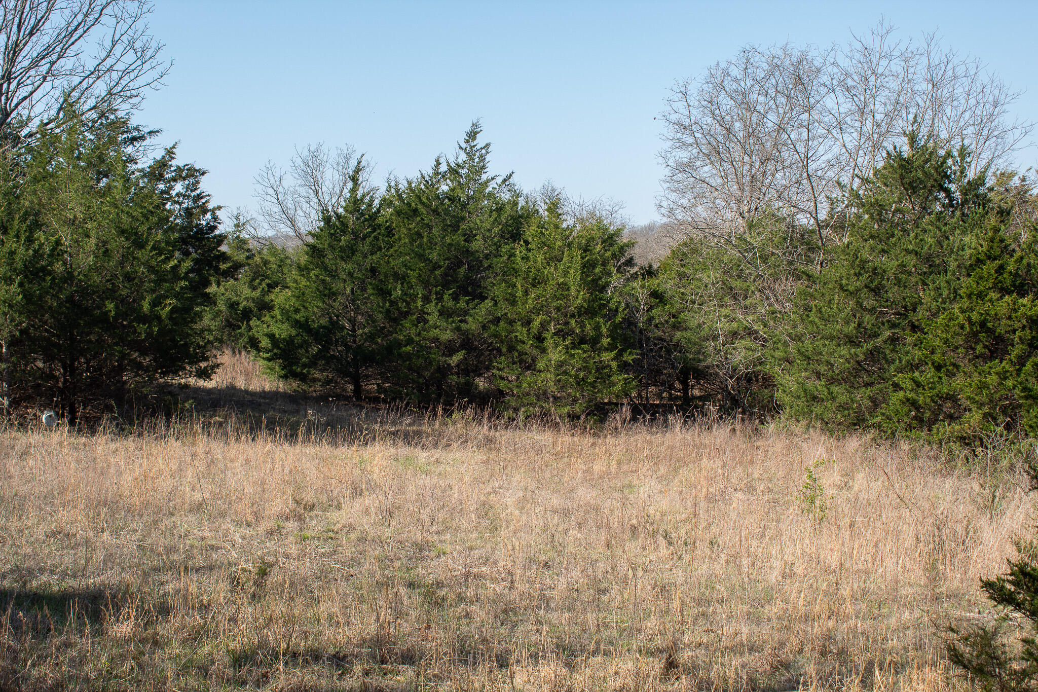 Photo 17 - Land for sale – 000  Sapphire Drive  Richland, MO