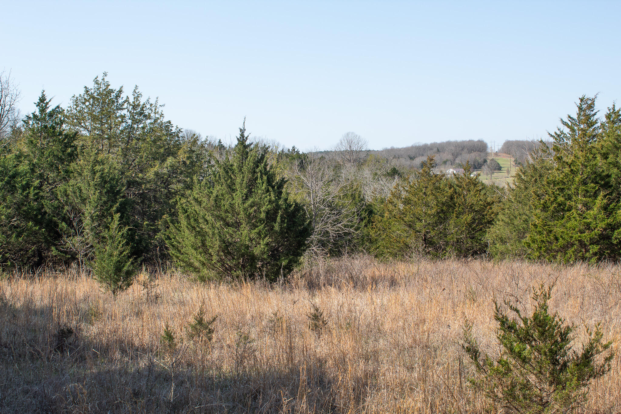 Photo 14 - Land for sale – 000  Sapphire Drive  Richland, MO