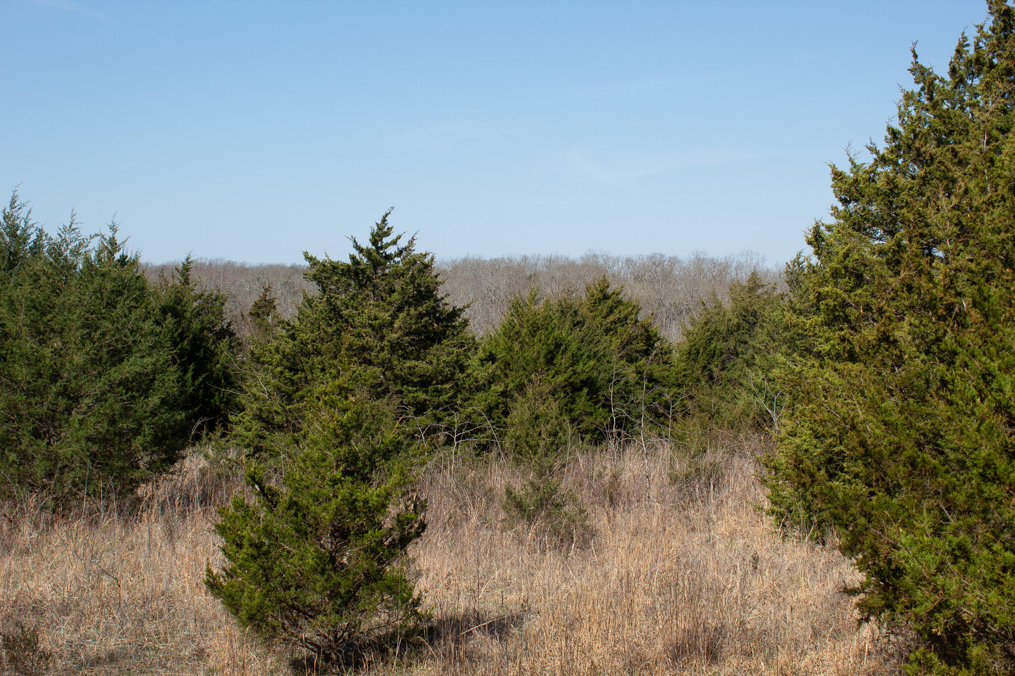 Photo 15 - Land for sale – 000  Sapphire Drive  Richland, MO