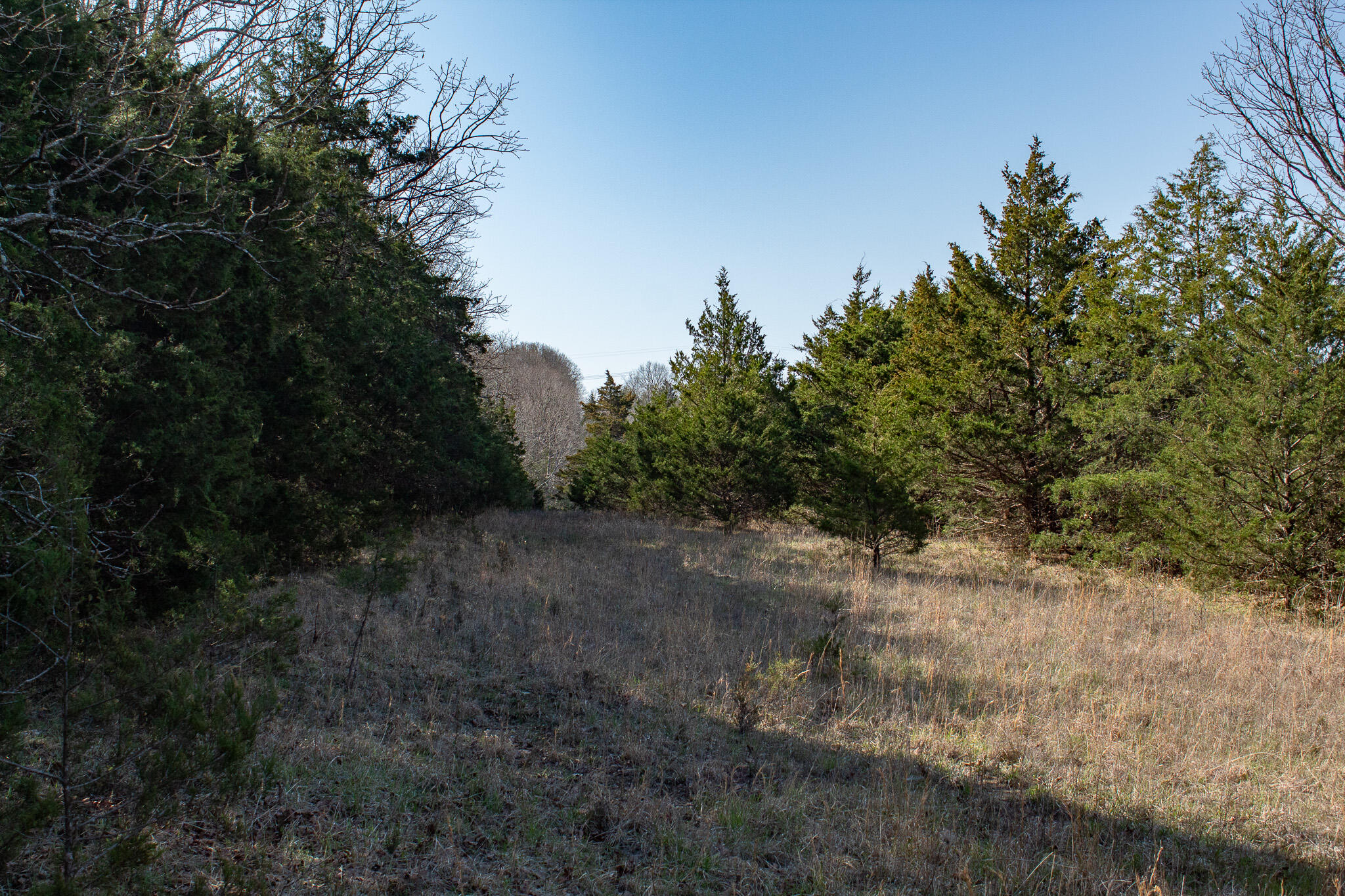 Photo 18 - Land for sale – 000  Sapphire Drive  Richland, MO