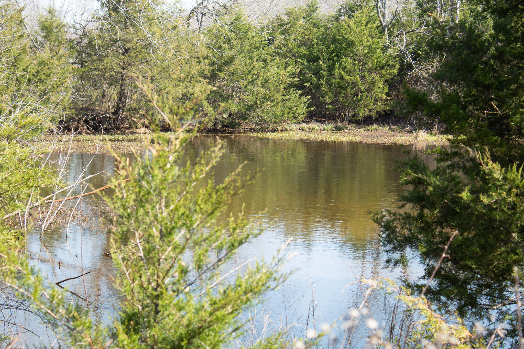 Photo 34 - Land for sale – 000  Sapphire Drive  Richland, MO