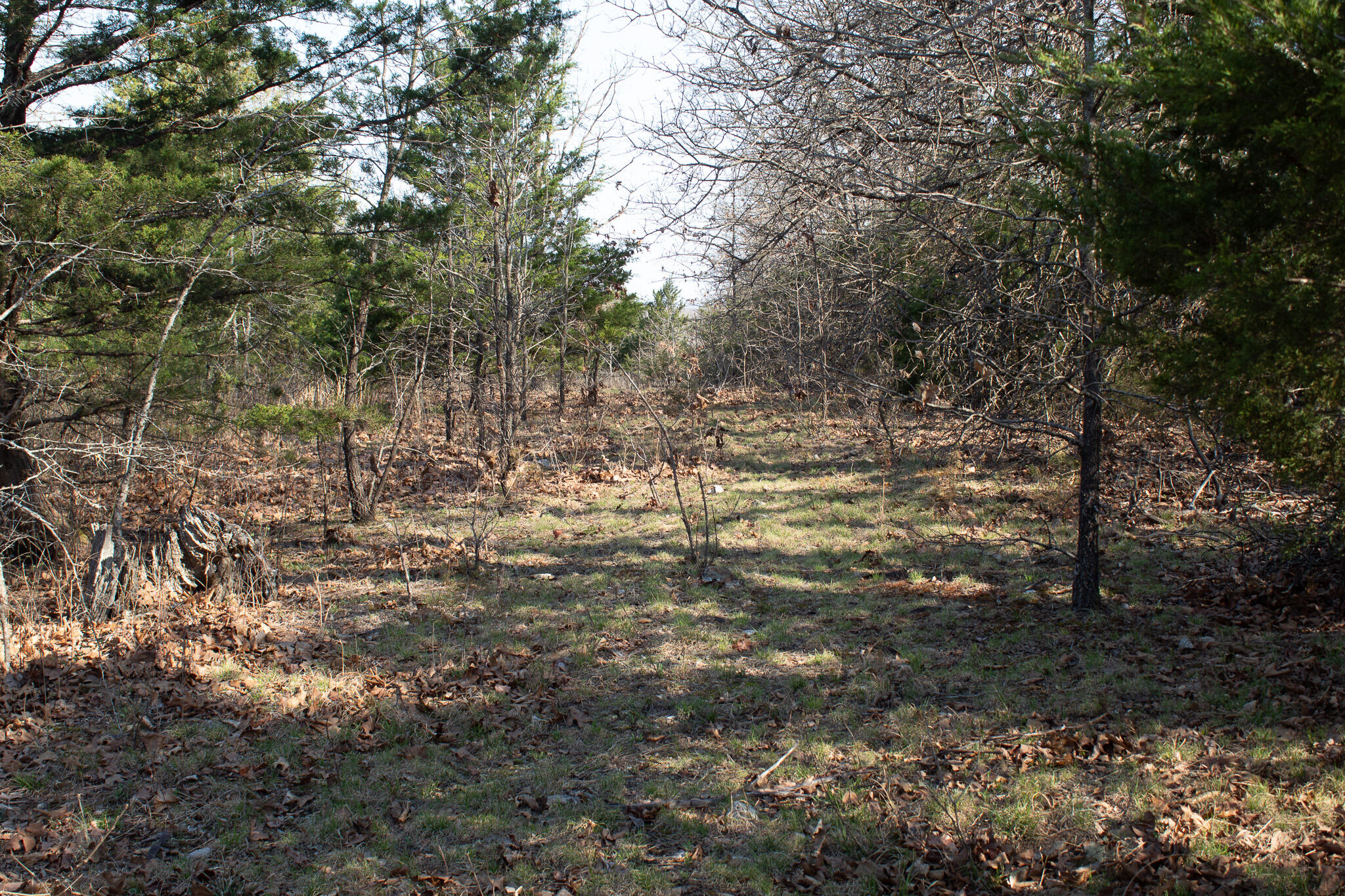 Photo 7 - Land for sale – 000  Sapphire Drive  Richland, MO