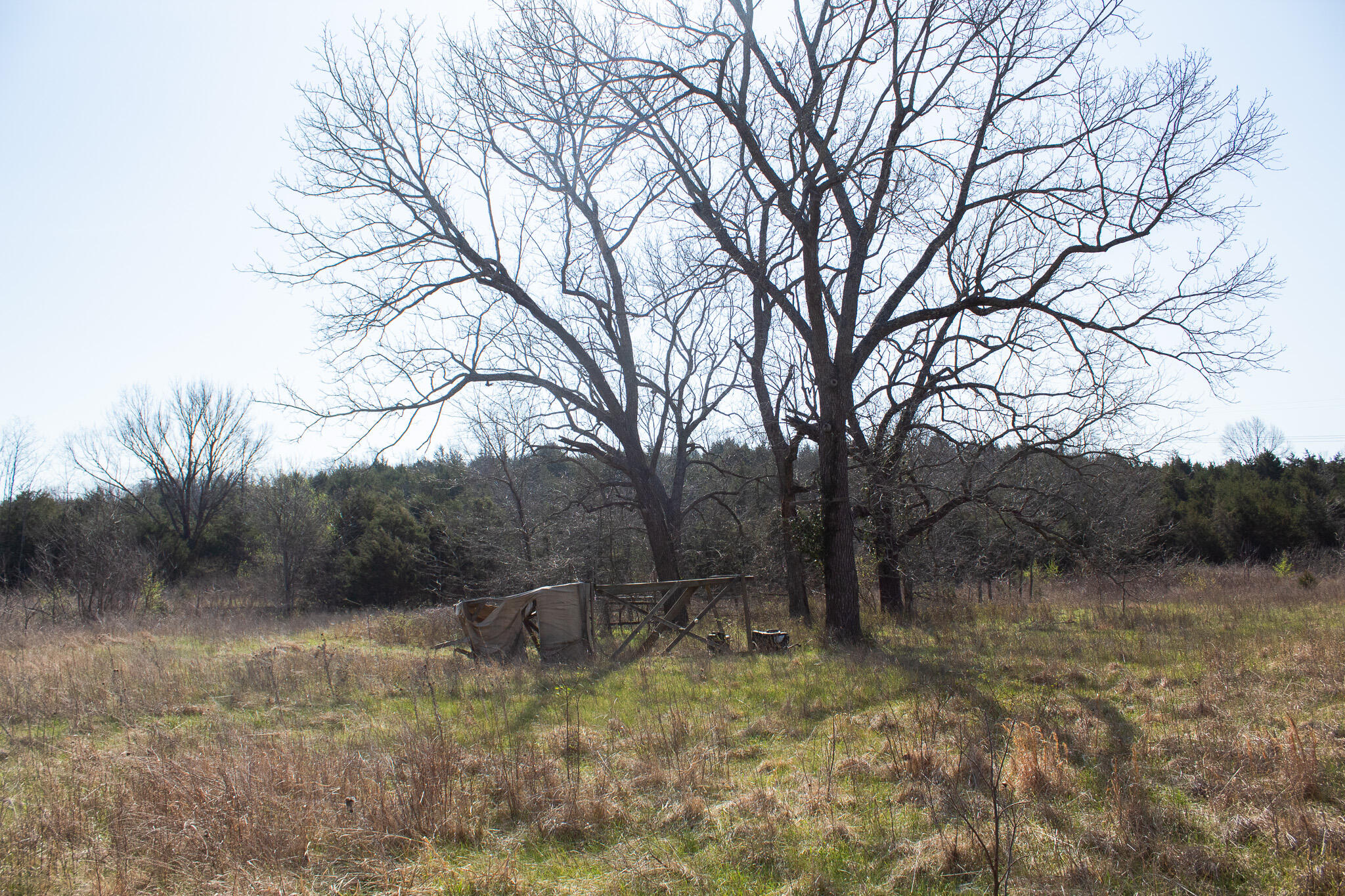 Photo 43 - Land for sale – 000  Sapphire Drive  Richland, MO