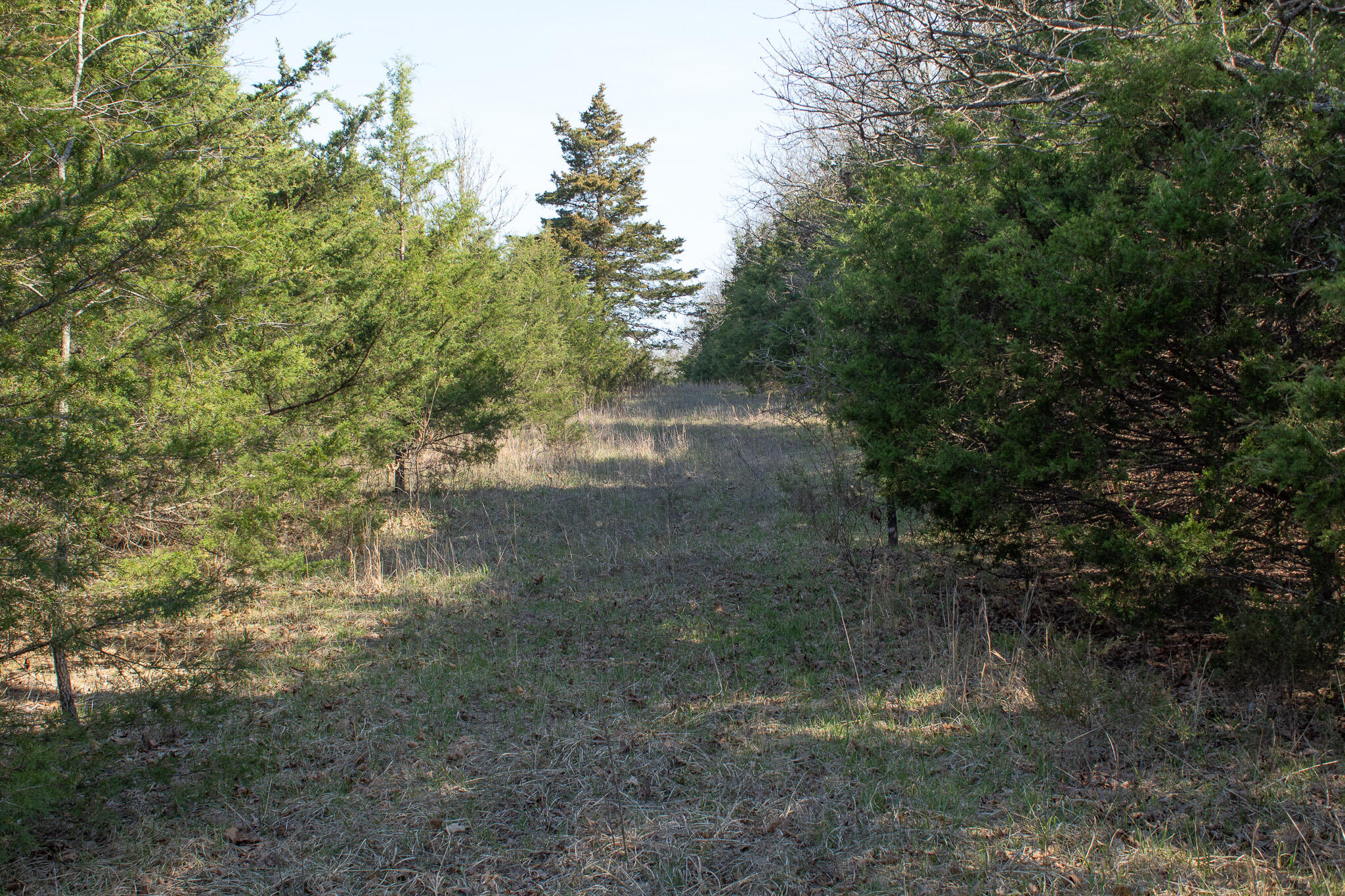 Photo 11 - Land for sale – 000  Sapphire Drive  Richland, MO