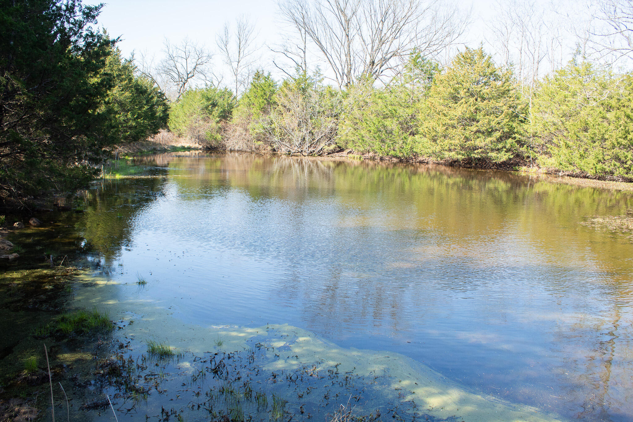 Photo 23 - Land for sale – 000  Sapphire Drive  Richland, MO