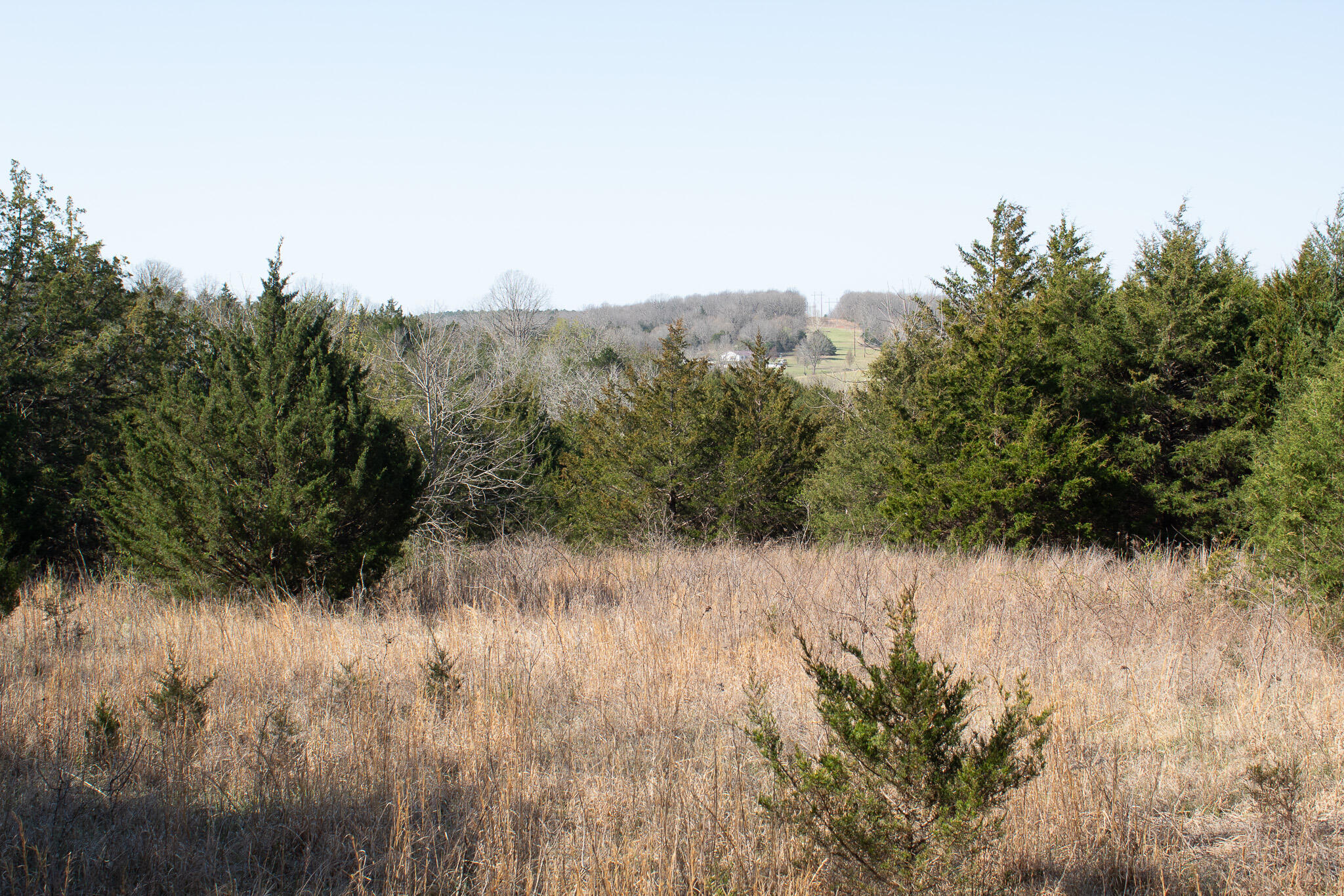 Photo 13 - Land for sale – 000  Sapphire Drive  Richland, MO