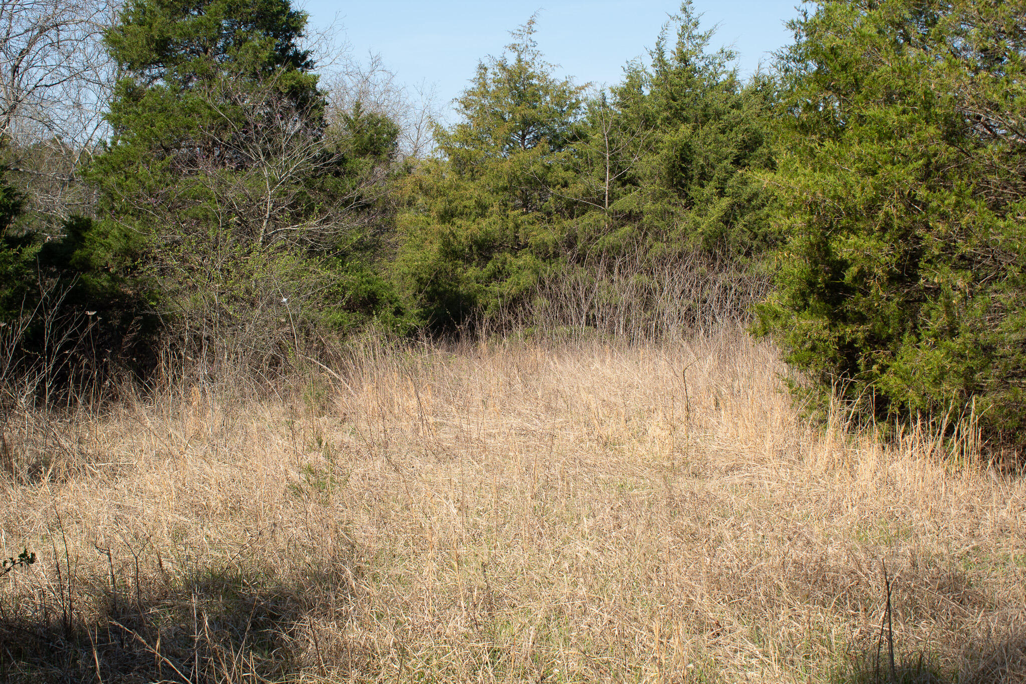 Photo 10 - Land for sale – 000  Sapphire Drive  Richland, MO
