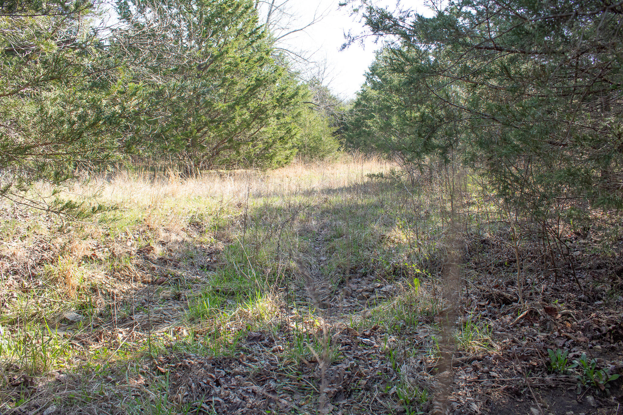 Photo 20 - Land for sale – 000  Sapphire Drive  Richland, MO