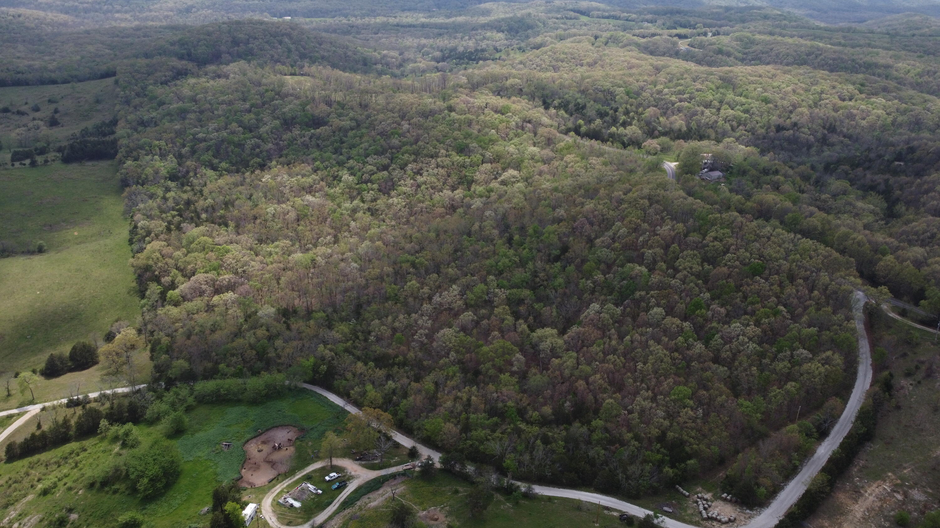Photo 5 - Land for sale – 000 S Highway Uu   Chadwick, MO