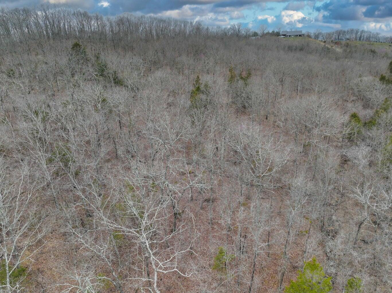 Photo 14 - Land for sale – 000 S Highway Uu   Chadwick, MO