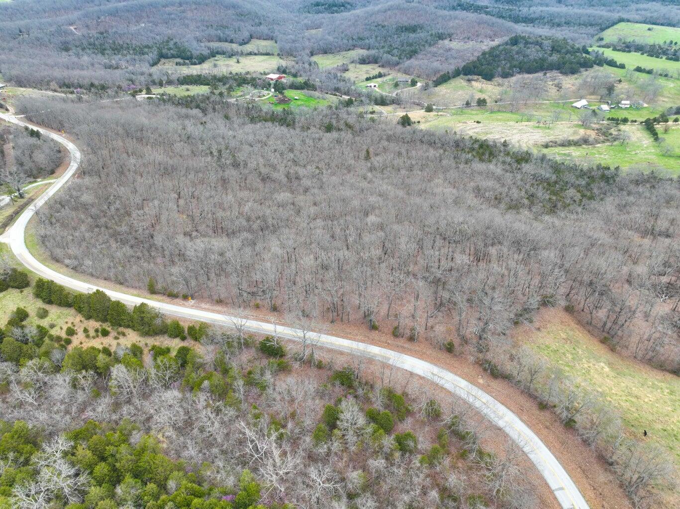 Photo 10 - Land for sale – 000 S Highway Uu   Chadwick, MO