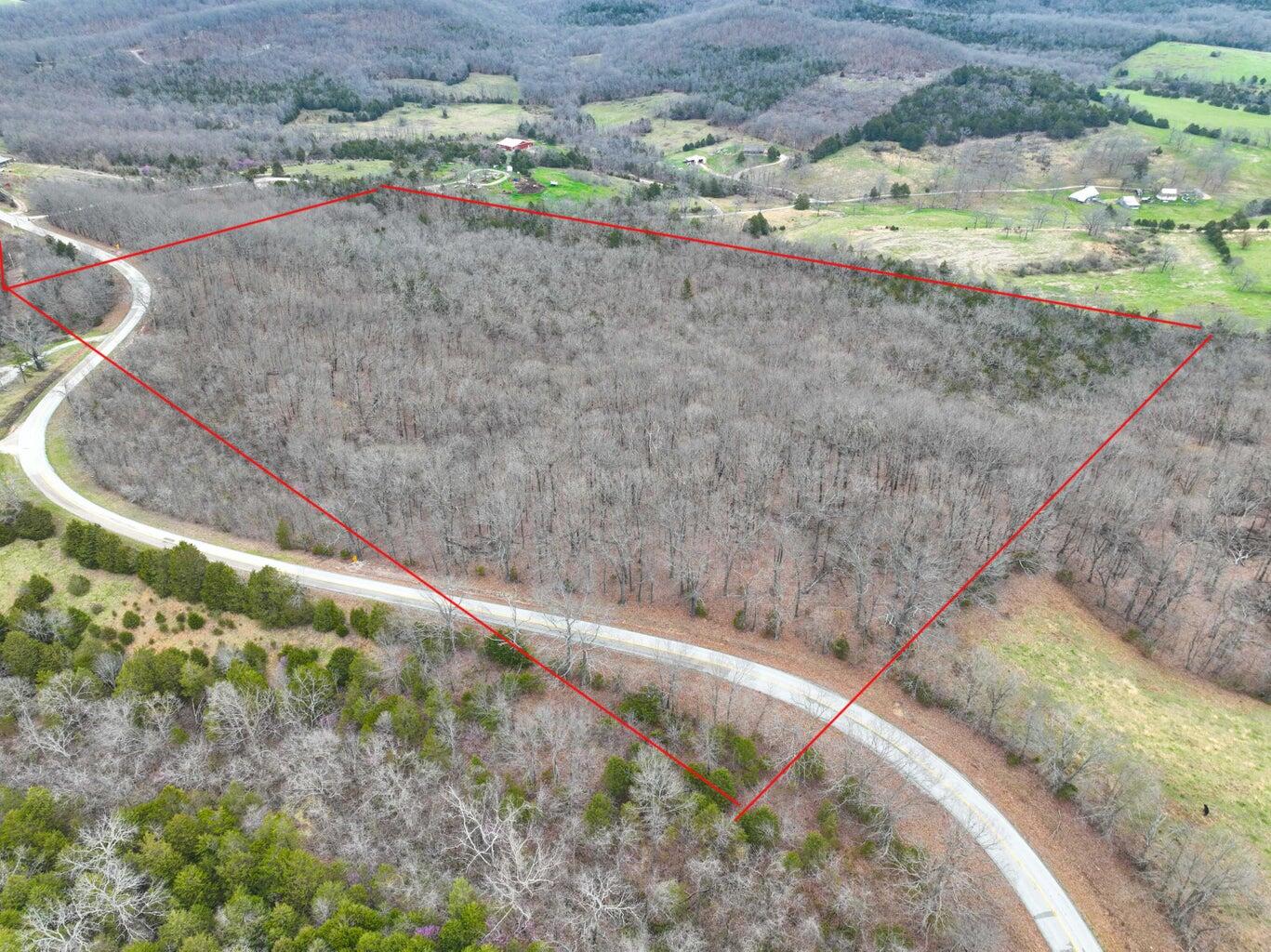 Photo 2 - Land for sale – 000 S Highway Uu   Chadwick, MO