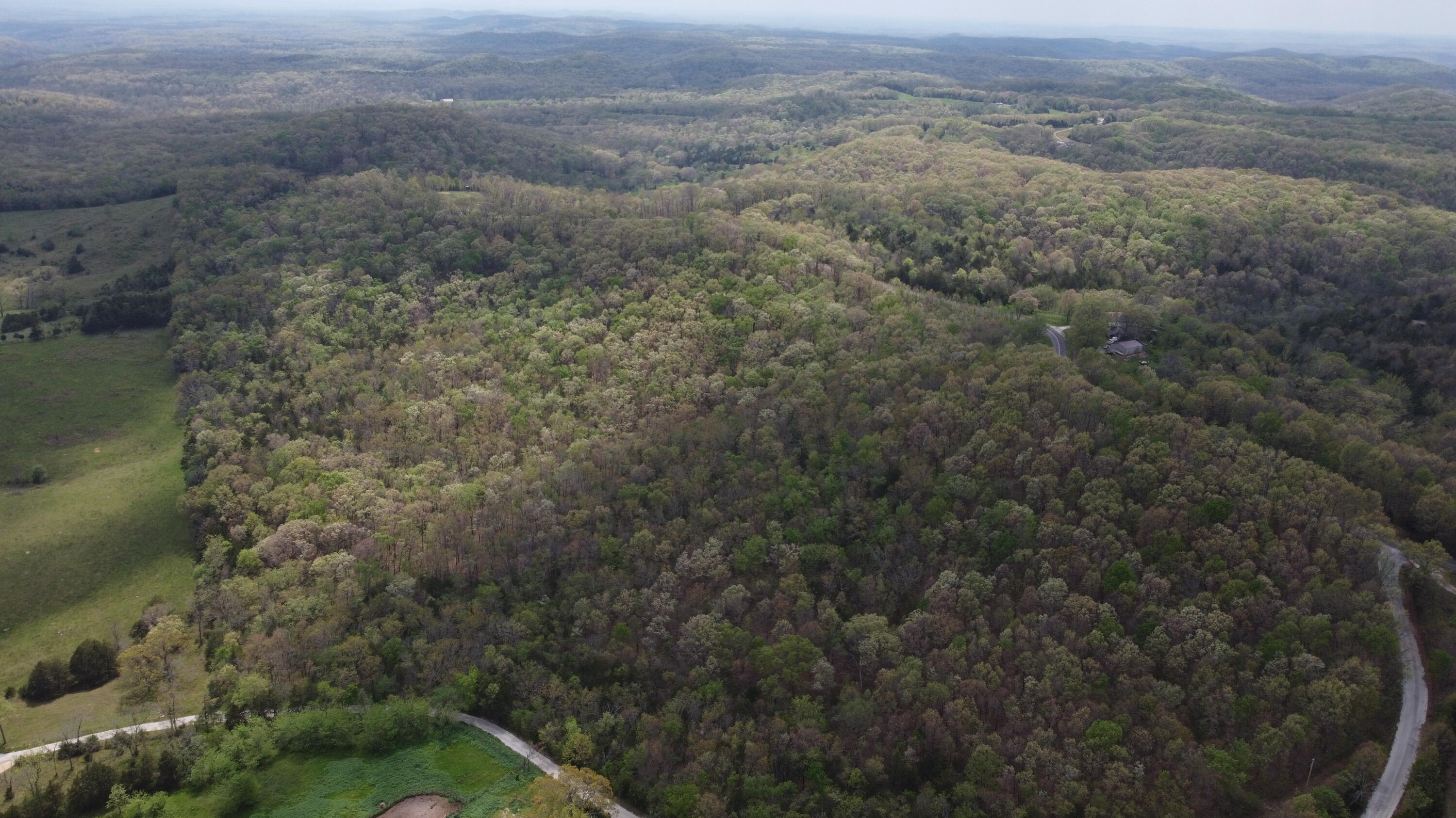Photo 6 - Land for sale – 000 S Highway Uu   Chadwick, MO