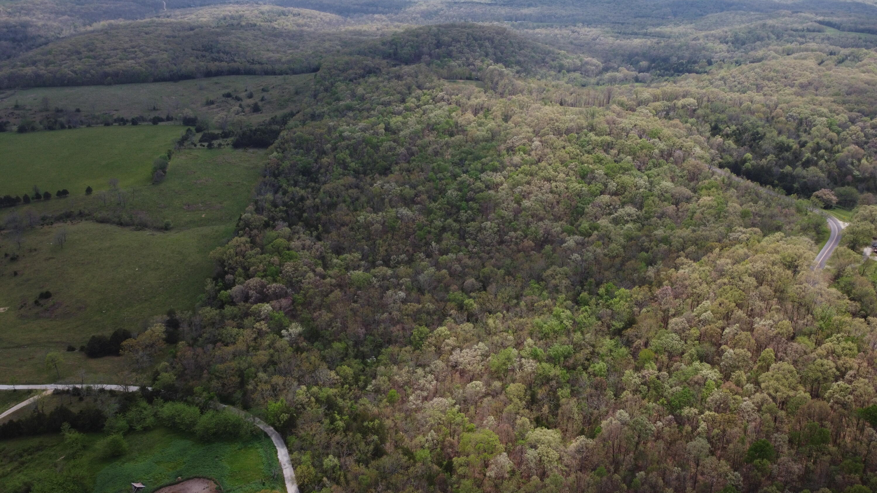 Photo 31 - Land for sale – 000 S Highway Uu   Chadwick, MO