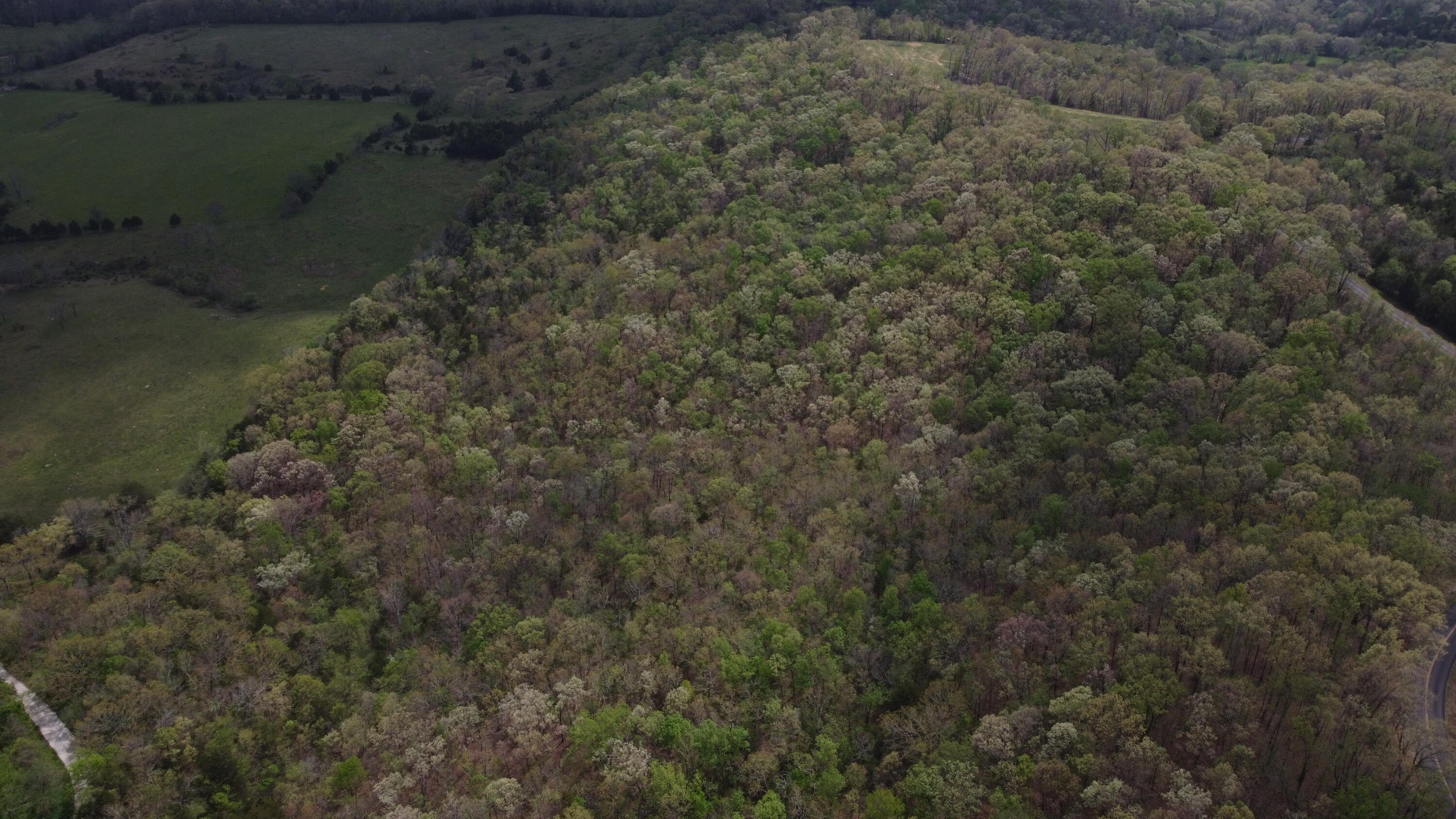 Photo 29 - Land for sale – 000 S Highway Uu   Chadwick, MO