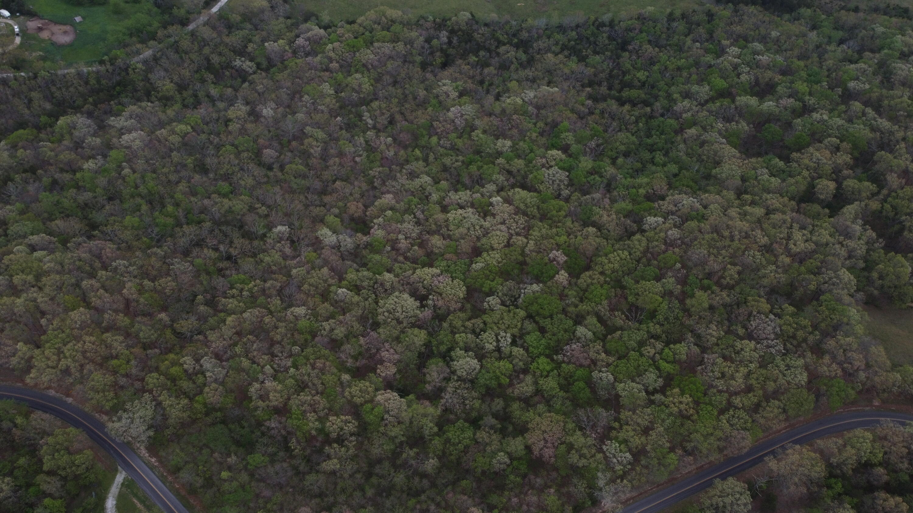 Photo 27 - Land for sale – 000 S Highway Uu   Chadwick, MO
