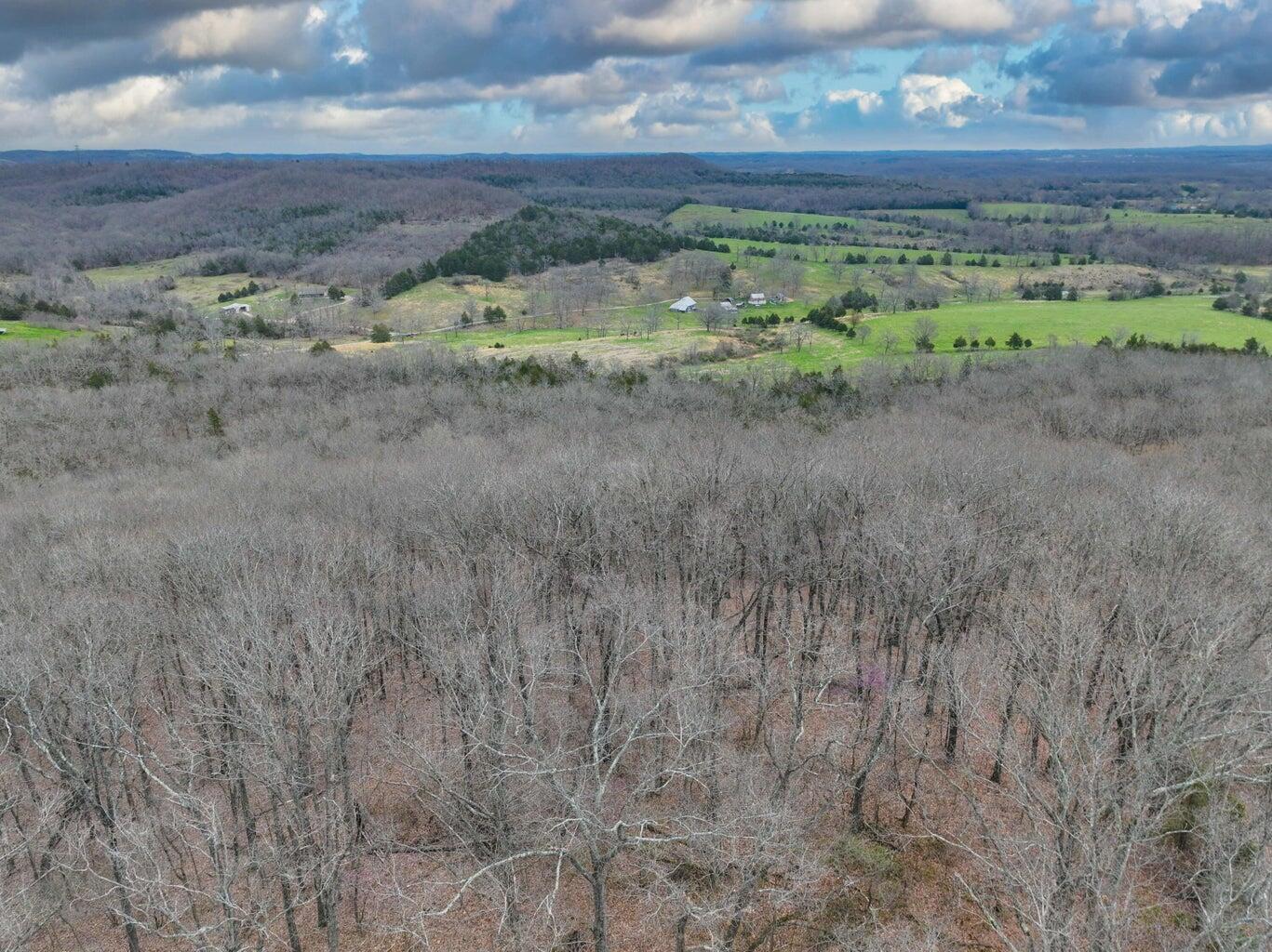 Photo 18 - Land for sale – 000 S Highway Uu   Chadwick, MO