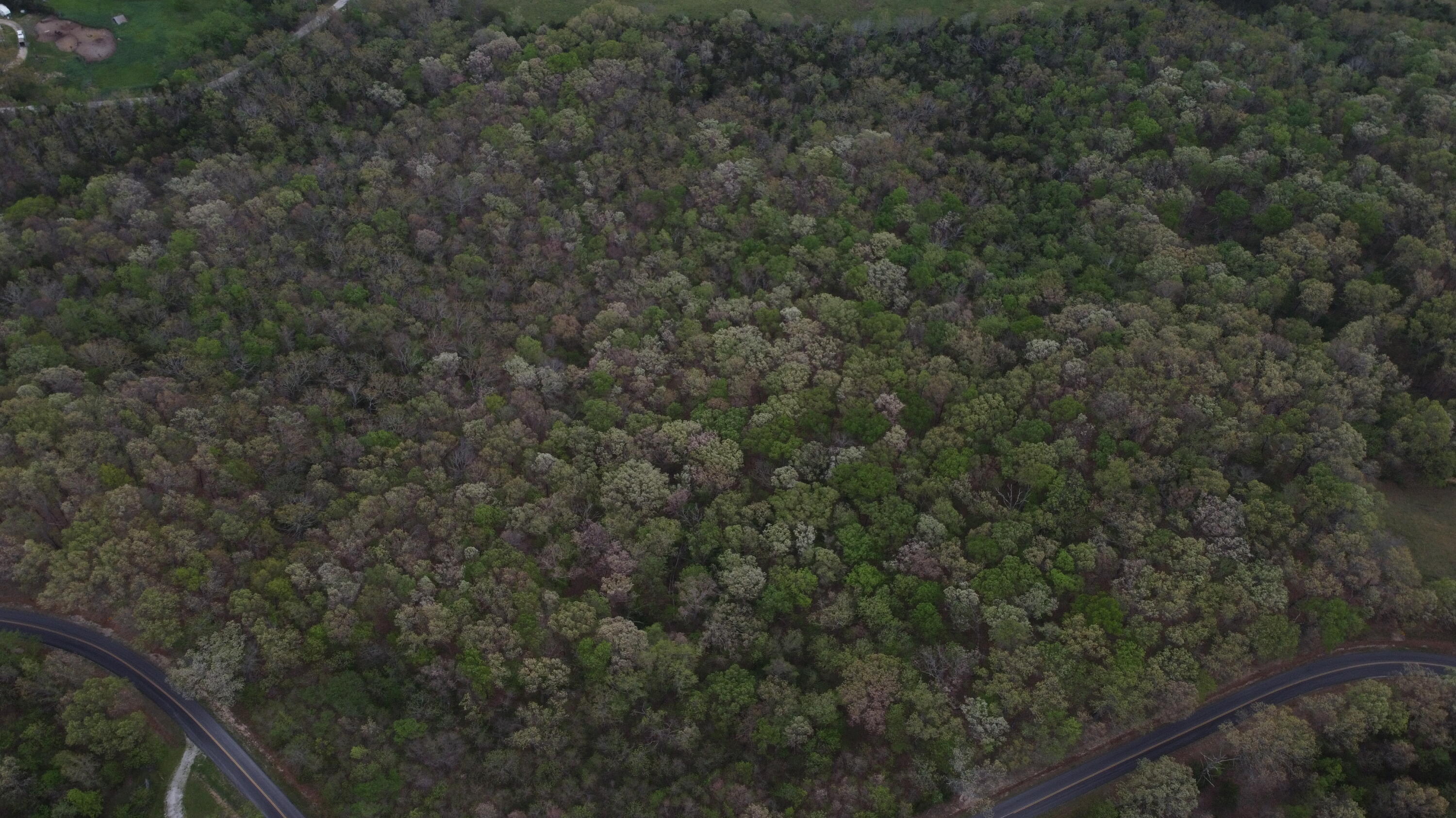 Photo 26 - Land for sale – 000 S Highway Uu   Chadwick, MO
