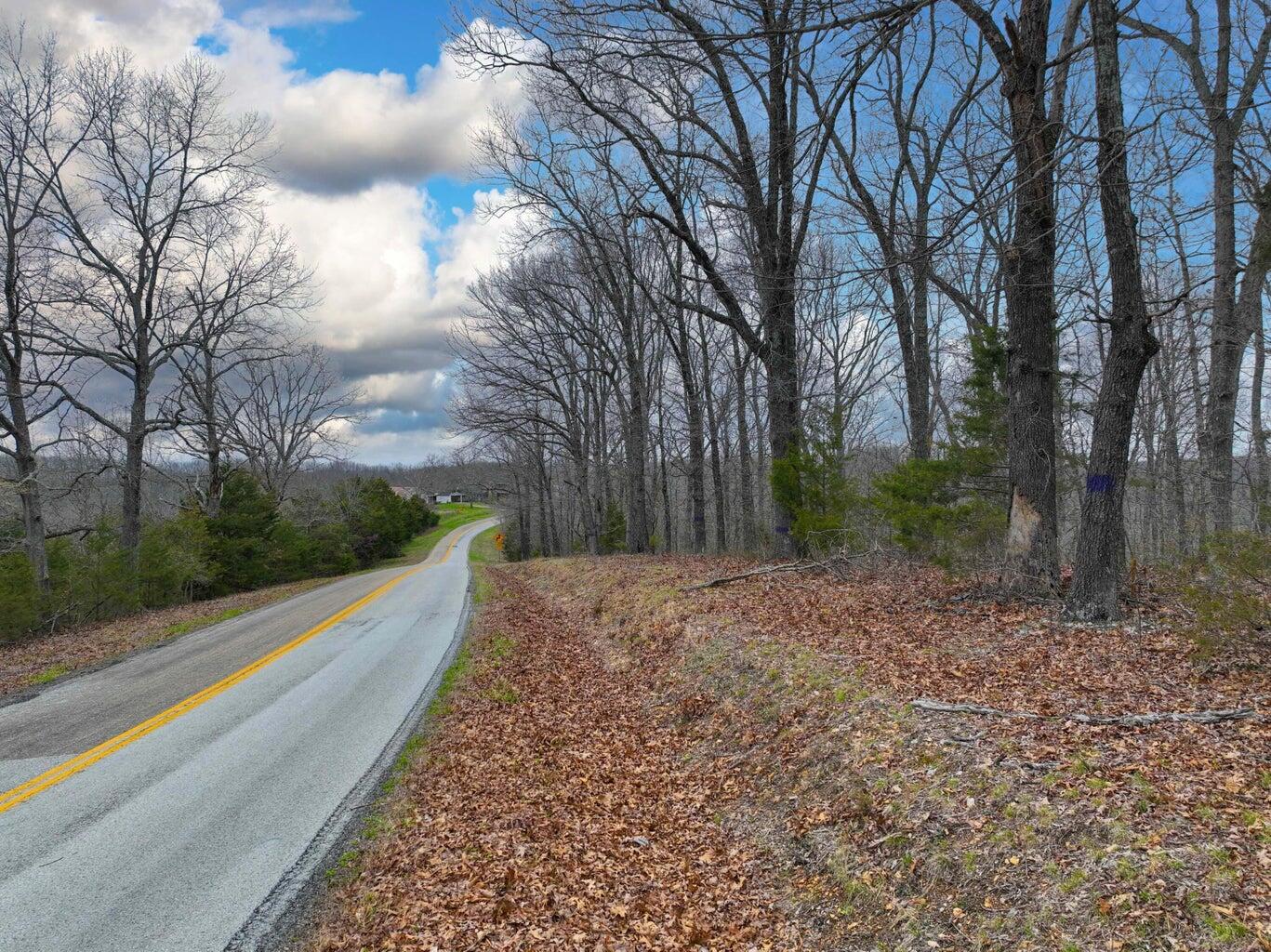 Photo 21 - Land for sale – 000 S Highway Uu   Chadwick, MO