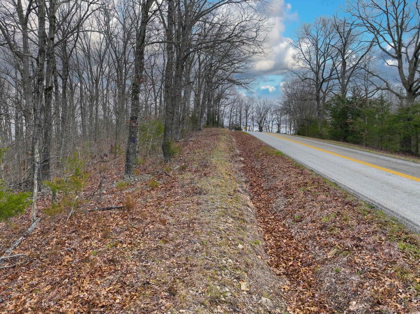 Photo 23 - Land for sale – 000 S Highway Uu   Chadwick, MO