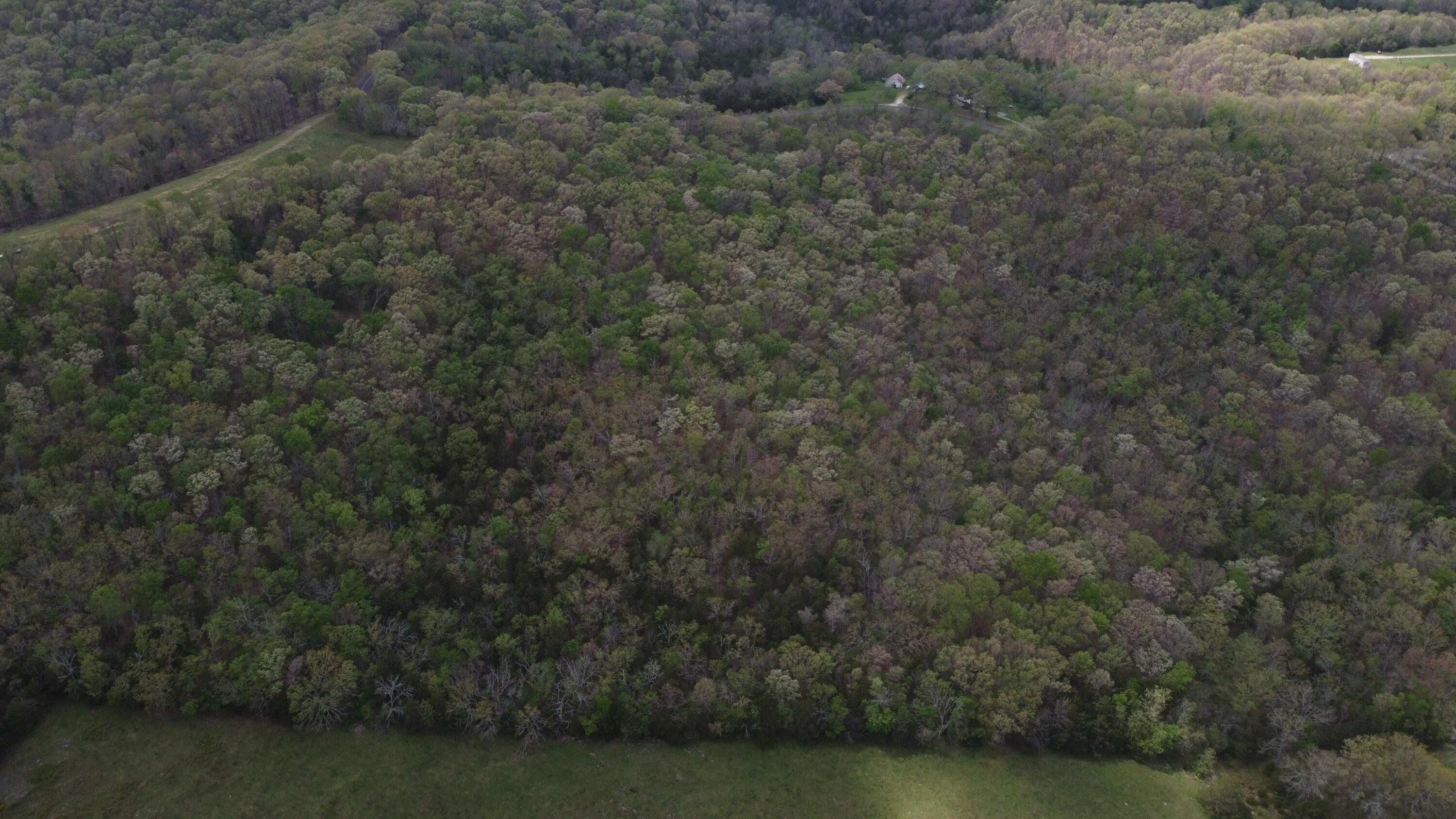 Photo 28 - Land for sale – 000 S Highway Uu   Chadwick, MO