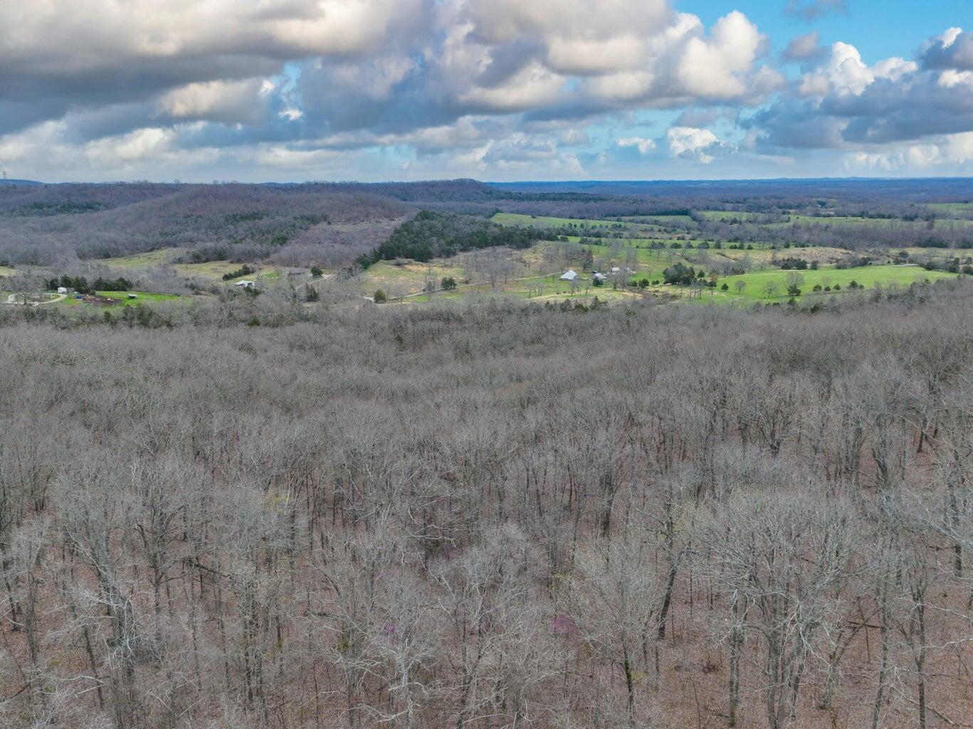 Photo 17 - Land for sale – 000 S Highway Uu   Chadwick, MO