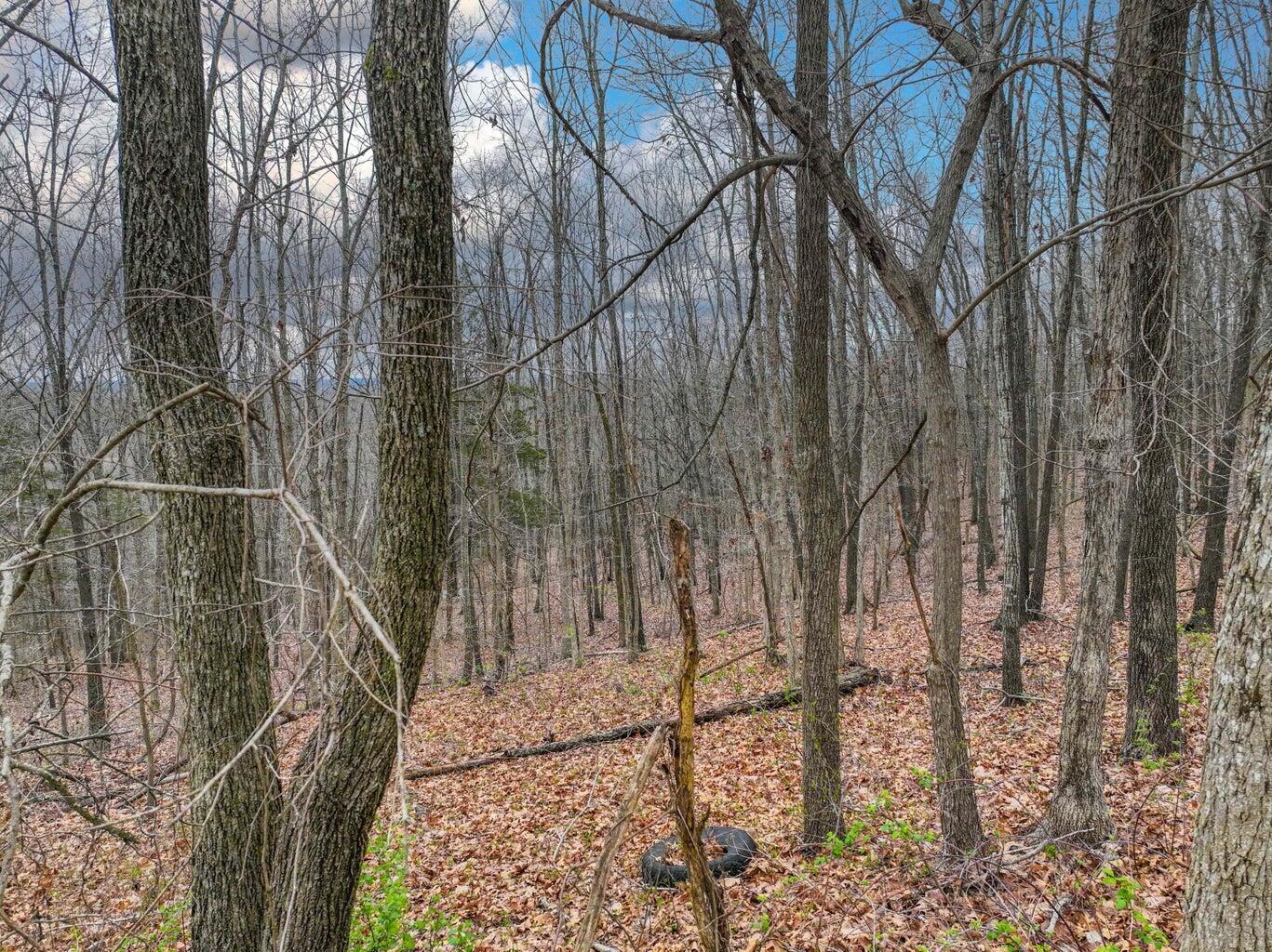 Photo 9 - Land for sale – 000 S Highway Uu   Chadwick, MO