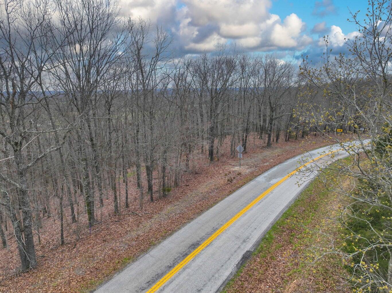 Photo 20 - Land for sale – 000 S Highway Uu   Chadwick, MO