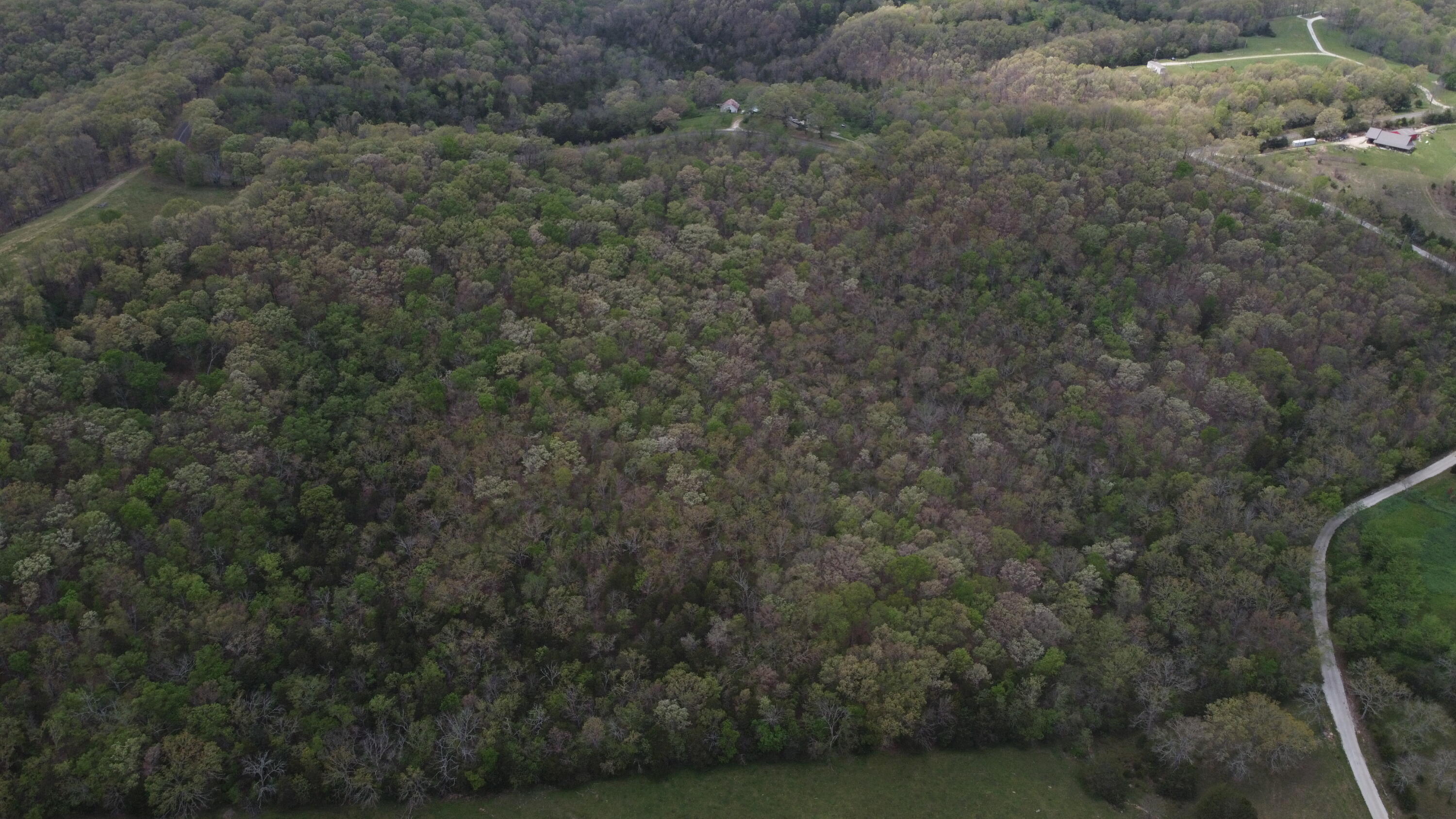 Photo 3 - Land for sale – 000 S Highway Uu   Chadwick, MO