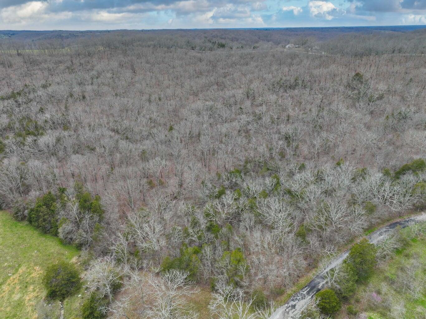 Photo 12 - Land for sale – 000 S Highway Uu   Chadwick, MO