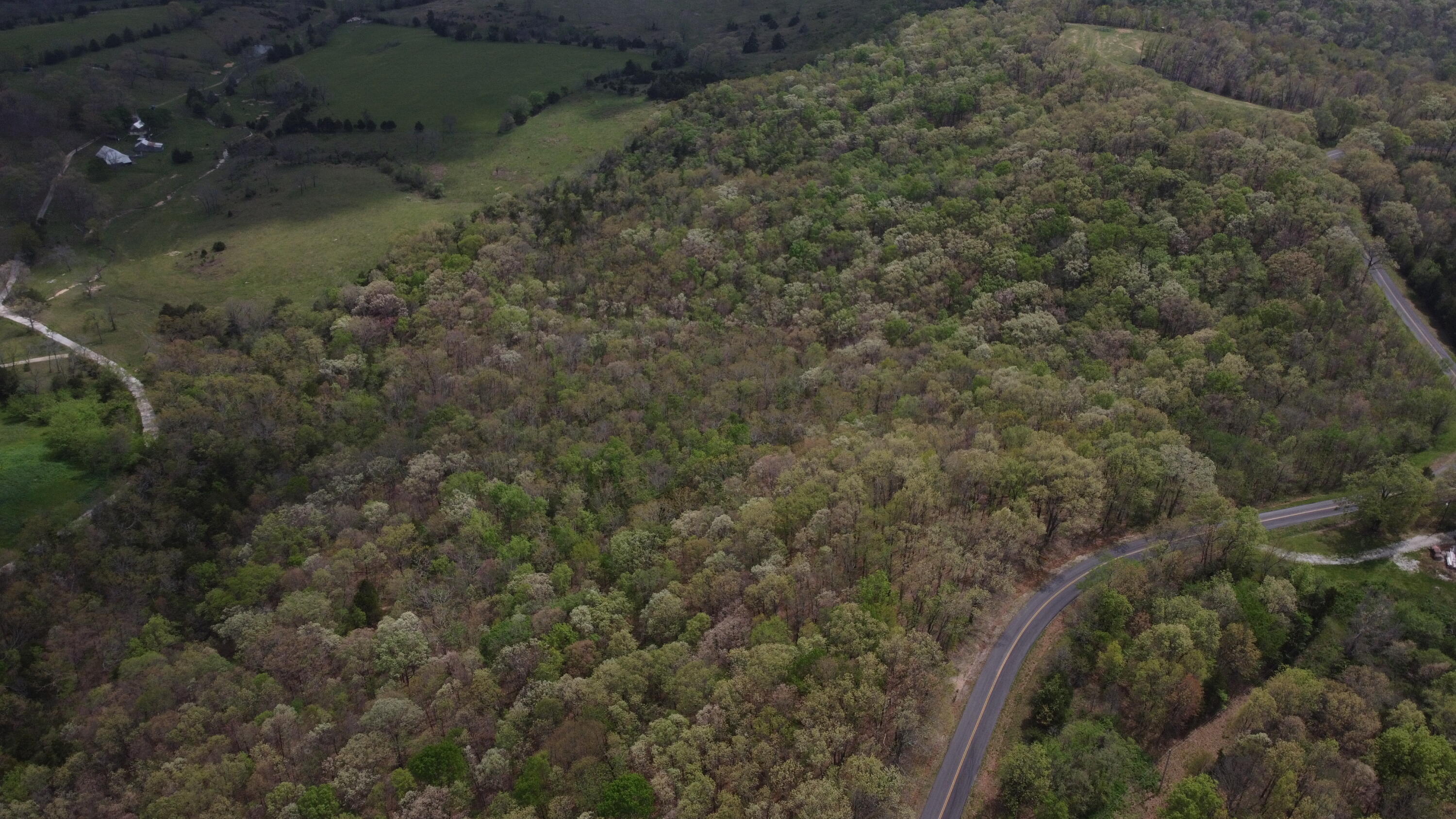 Photo 4 - Land for sale – 000 S Highway Uu   Chadwick, MO