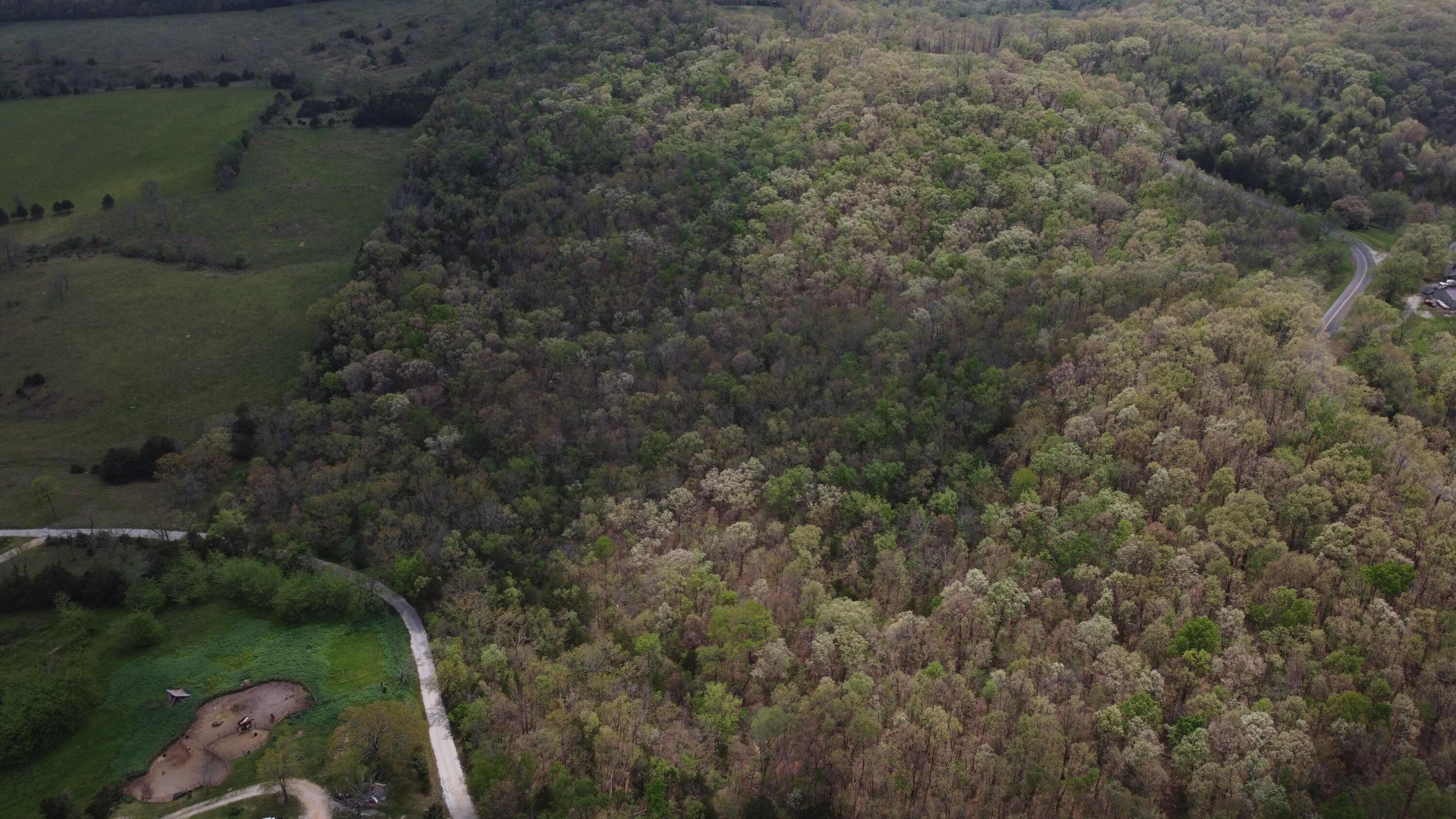 Photo 30 - Land for sale – 000 S Highway Uu   Chadwick, MO