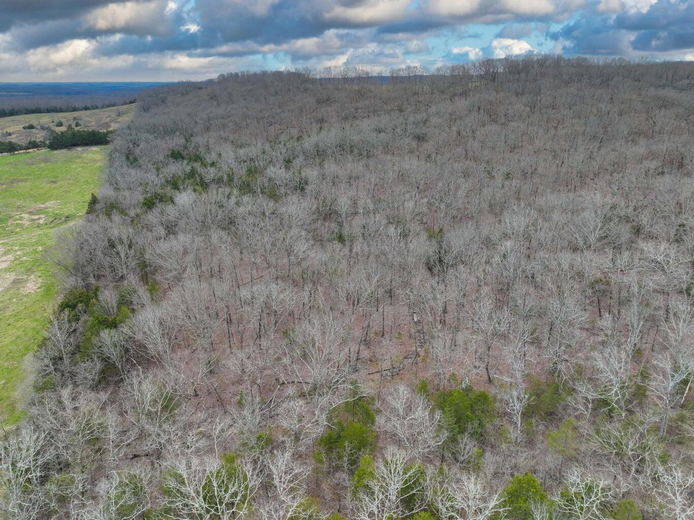 Photo 13 - Land for sale – 000 S Highway Uu   Chadwick, MO