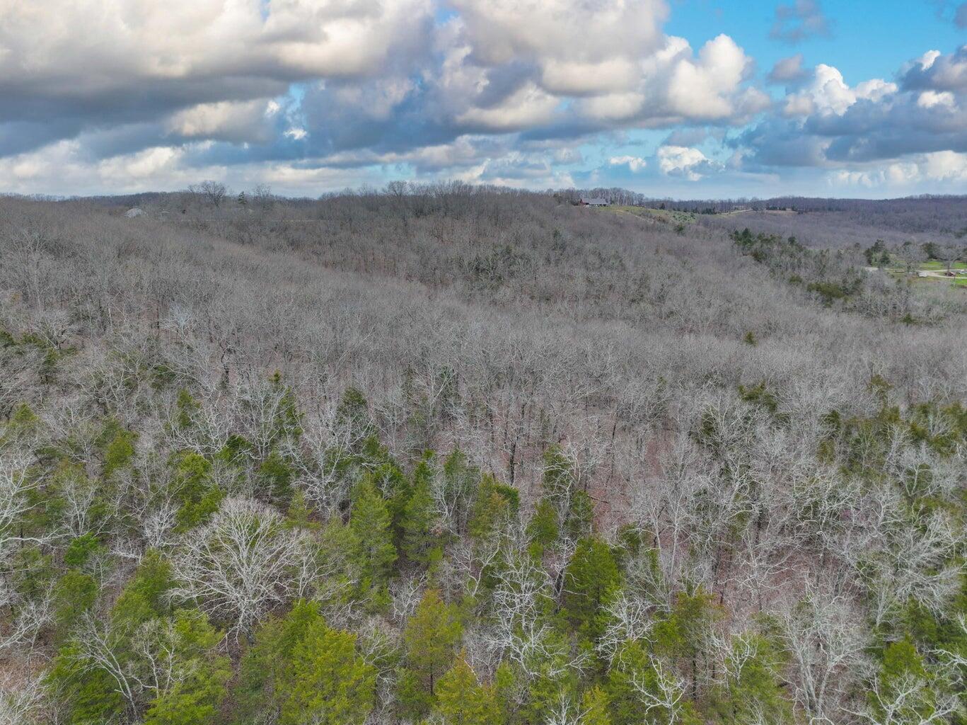 Photo 19 - Land for sale – 000 S Highway Uu   Chadwick, MO